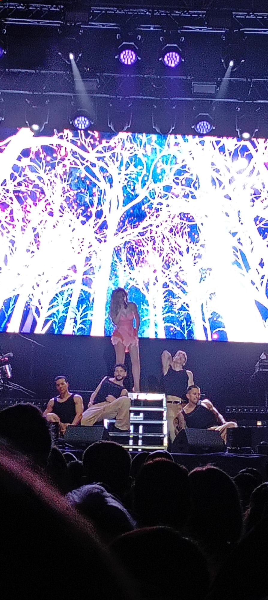 The image shows a concert stage in Cerdanyola del Vallès, Spain, likely an outdoor venue. The foreground is filled with the heads and shoulders of the audience. The stage features a large screen displaying a colorful graphic of white trees against a blue and purple background. On the stage itself, there are four men seated and one woman standing on a small platform. The men are wearing tank tops and pants, while the woman is wearing a short pink dress. Stage lighting is visible in the upper portion of the image.