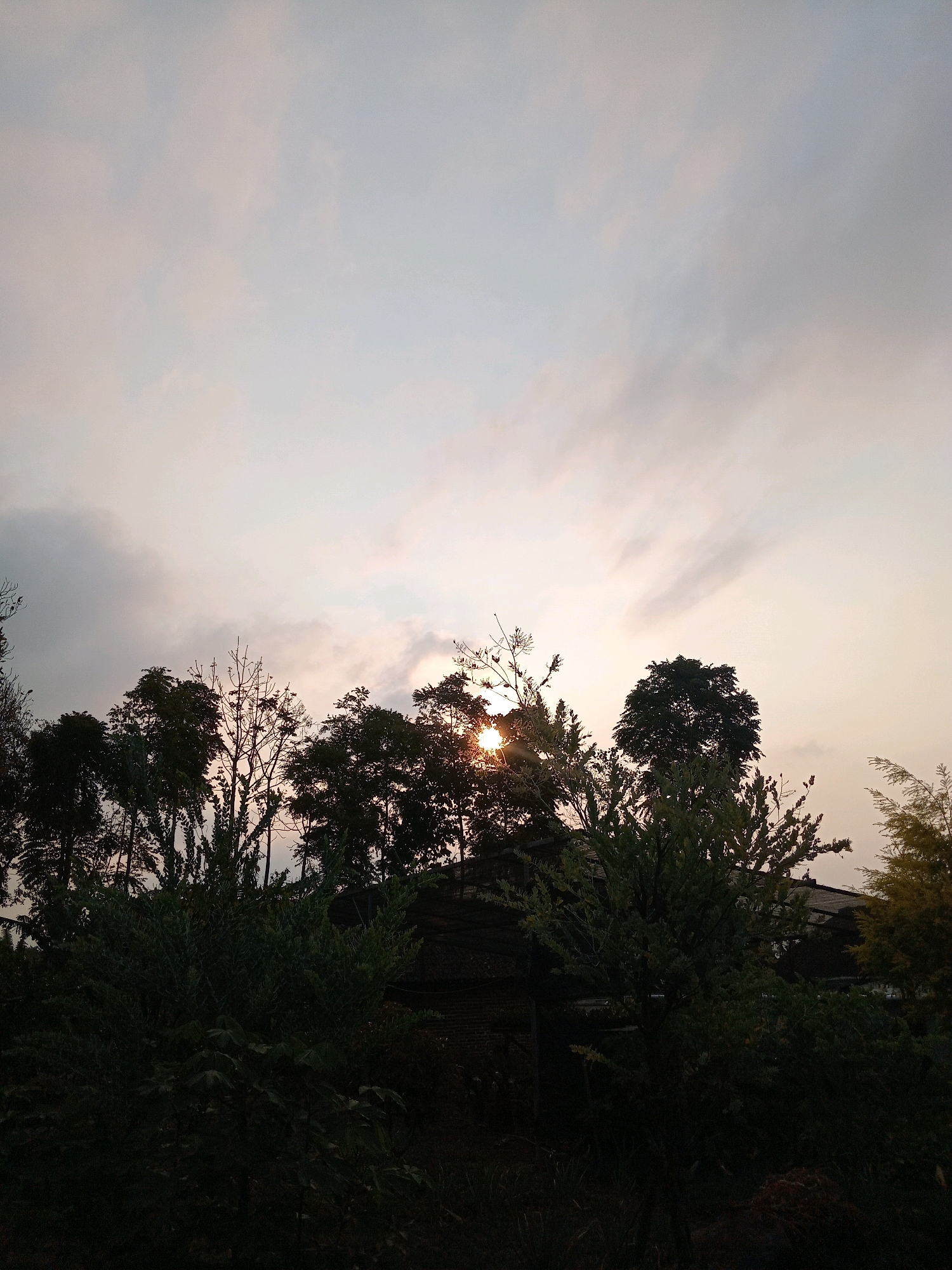 The image is a silhouette of trees against a cloudy sky, likely at sunset or sunrise. The sun's rays are visible peeking through the clouds and behind the trees, creating a warm glow. The foreground is filled with dense foliage, appearing dark and shadowed. The background consists of the sky, with varying shades of grey and white clouds, suggesting an overcast or transitional lighting condition. No people or specific landmarks are discernible. The overall impression is a natural landscape scene, possibly in a rural or semi-rural setting like Claket, Indonesia, given the lush vegetation.