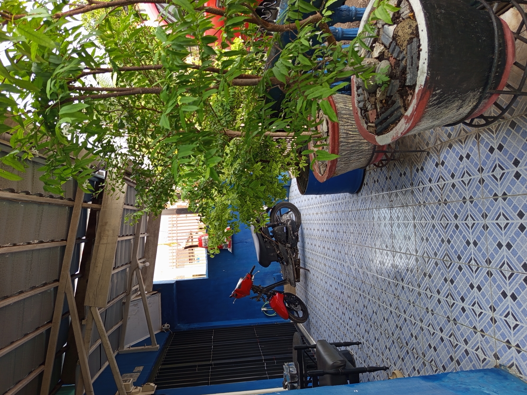 The image depicts an outdoor area, likely a patio or veranda, in Palembang, Indonesia. A red and black scooter is parked on a tiled floor featuring a geometric pattern of blue, white, and black squares. To the left, a dark chair and a small table are visible against a bright blue wall. In the background, a section of a building with a corrugated metal roof supported by wooden beams is evident. Several potted plants with green foliage are arranged in the foreground and midground, one of which is a large black pot with a red rim. Beyond the plants, a red vehicle is partially visible, suggesting it is parked nearby. The overall scene conveys a sense of a residential or commercial outdoor space in an urban Indonesian setting.