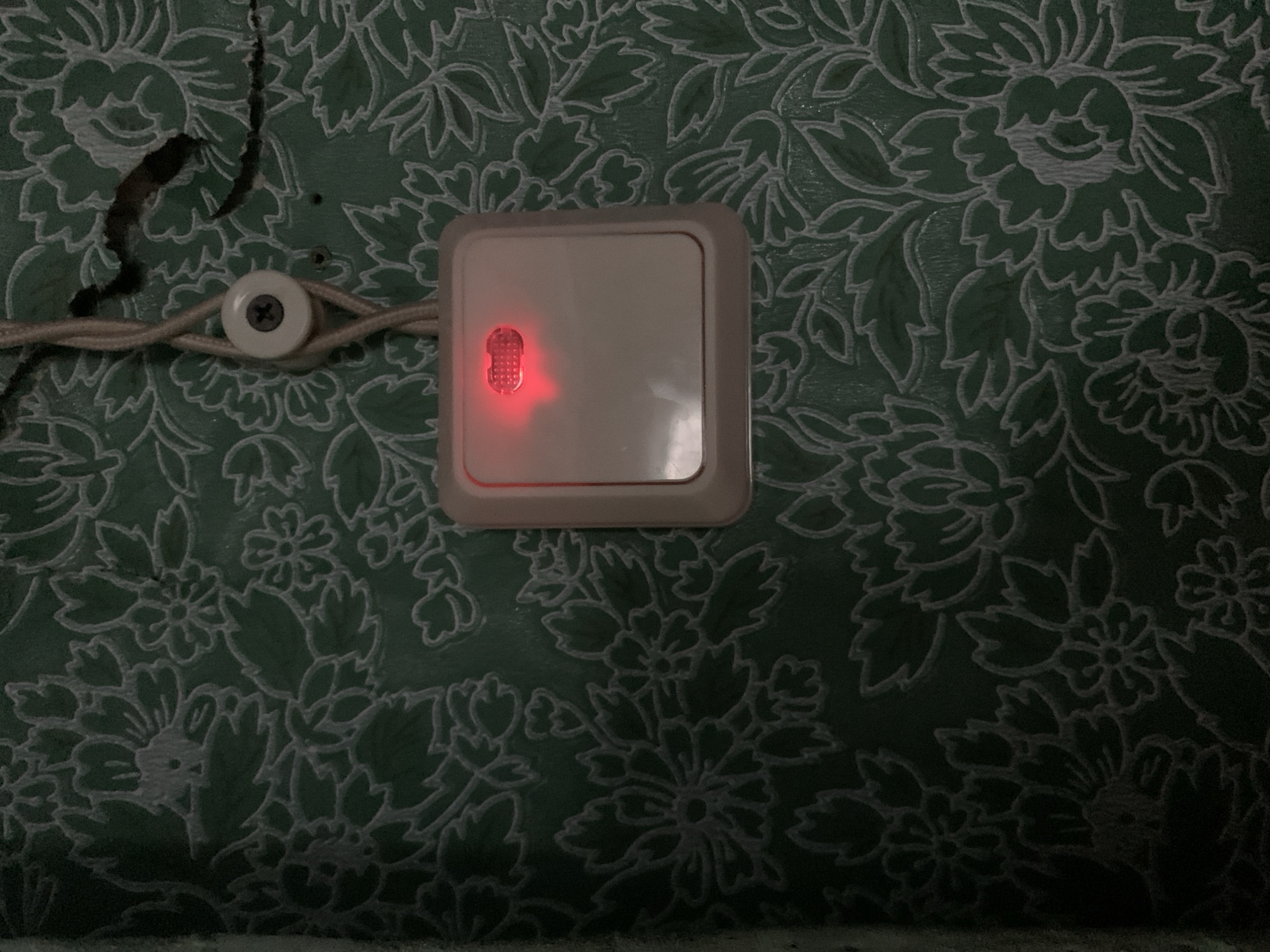 The image shows a close-up of a light switch mounted on a green floral-patterned wall. The light switch is white and square-shaped, with a small red indicator light illuminated on its surface. A white cable, twisted in a double helix, descends from the top right of the image and is secured to the wall by a white circular fixture with a screw. The wall exhibits a repeating pattern of light-colored floral motifs against a darker green background. A crack is visible in the wall above the light switch. The overall scene appears to be indoors, likely in a residential setting. The location is stated to be in the village of Vidzy, Vidzy Rural Council, Belarus.