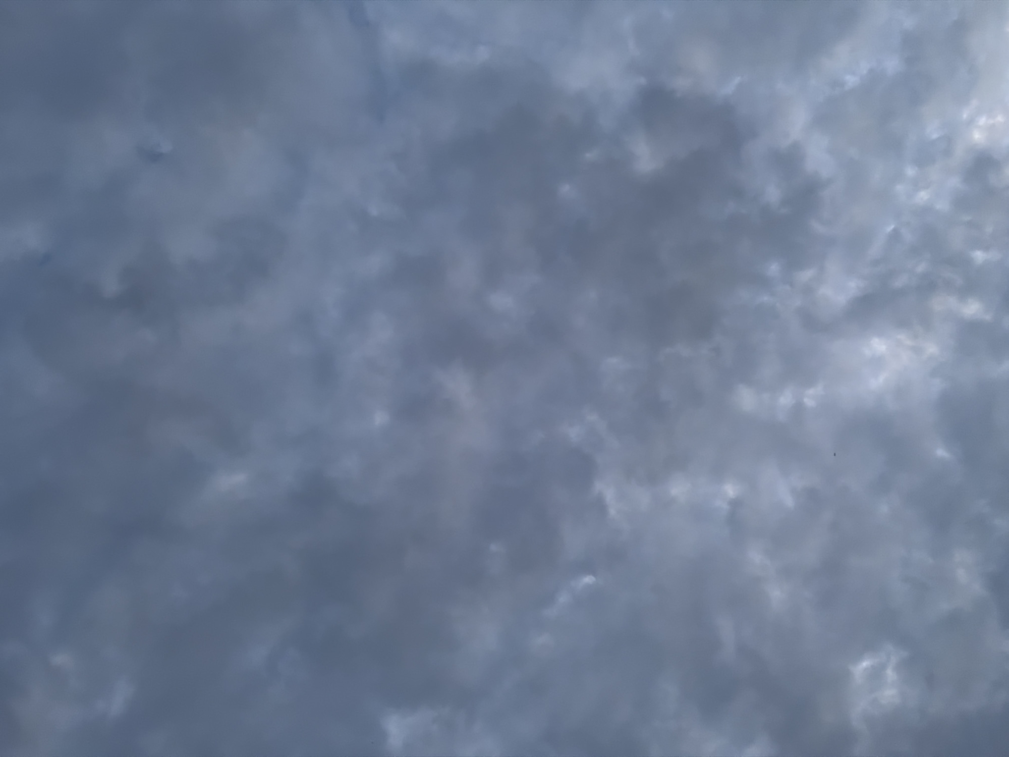 The image is a close-up, outdoor, low-angle shot of a cloudy sky. The clouds are dark gray and appear to be somewhat dense, obscuring any view of the sun or blue sky. The lighting is muted, suggesting it might be overcast or late in the day. The texture of the clouds varies, with some areas appearing smoother and others more textured and turbulent. There are no identifiable landmarks, buildings, people, or objects visible, apart from what appears to be a very small dark speck in the lower right quadrant, possibly a distant bird or insect. The scene is devoid of any specific Chaikovsky, Russia, identifying features.