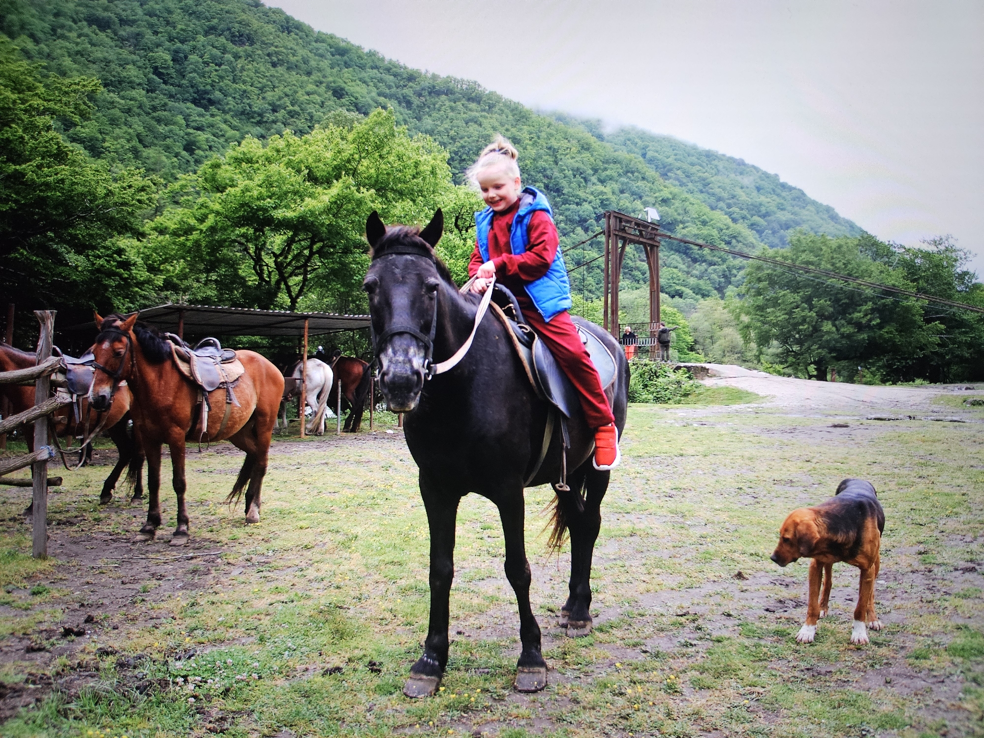 A young girl with blonde hair pulled up in a ponytail, wearing a blue vest over a red tracksuit and red shoes, rides a black horse. The horse has a light-colored saddle. The girl is smiling and holding the reins. To the right of the horse, a brown and black dog with white paws stands on the grassy ground, looking to the left. In the background, several other horses are visible, some with saddles, near a wooden fence and a covered structure. Further in the distance, a rusty metal bridge spans across a wooded area, with a lush green, tree-covered mountain rising behind it. The sky is overcast and hazy. The scene appears to be an outdoor equestrian area. This image is not located in Astana, Kazakhstan; it depicts a mountainous, possibly rural or recreational environment with natural scenery.
