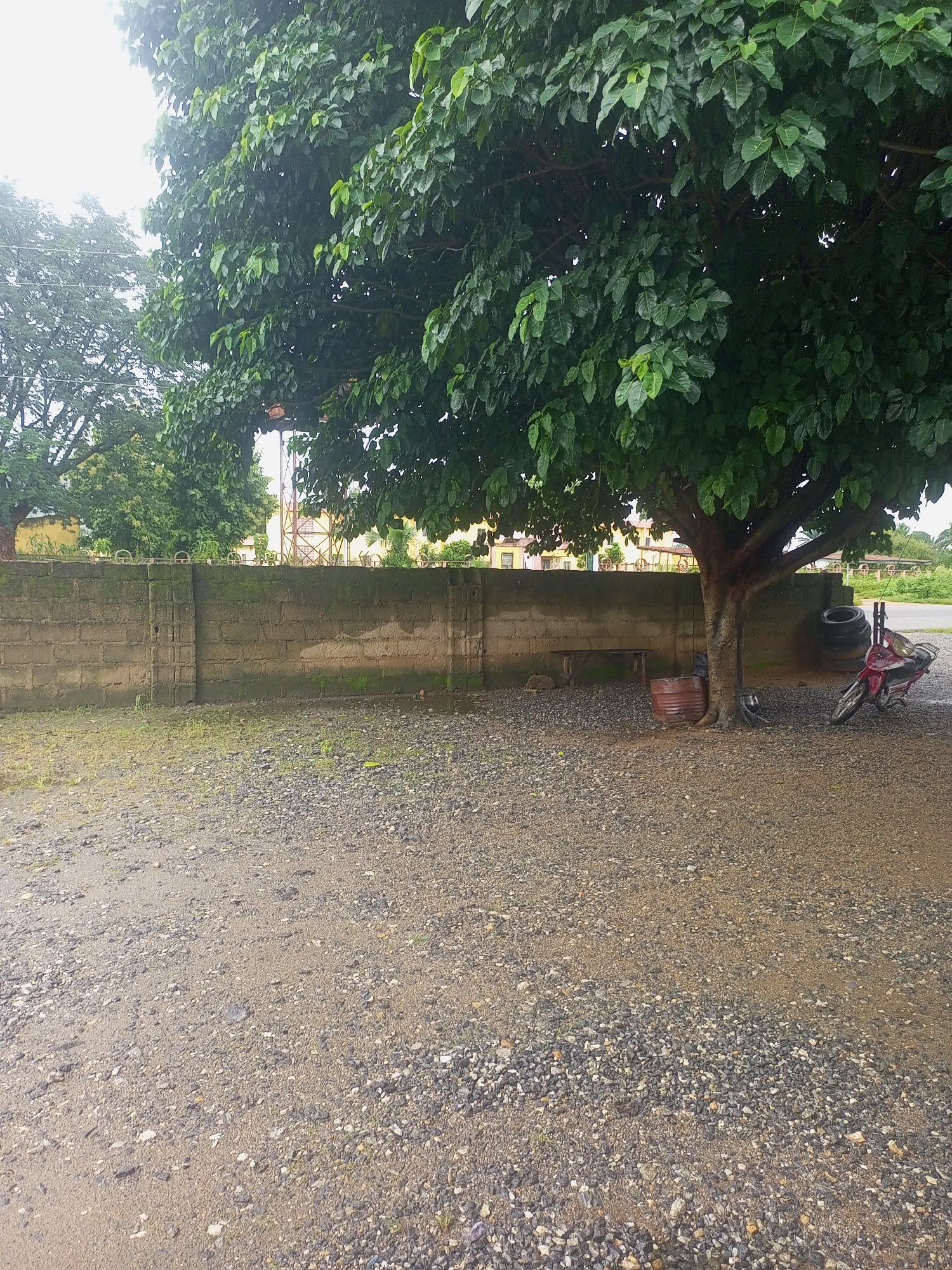 The image depicts an outdoor scene in Serti, Nigeria, characterized by a gravelly ground surface leading up to a low, weathered brick wall. Behind the wall, a dense, mature tree with abundant green foliage dominates the upper portion of the frame. To the right of the tree's trunk, a red motorcycle is parked, leaning against a stack of black tires. A rusty barrel sits near the base of the tree, and a wooden bench is positioned against the wall to the left. In the background, beyond the wall, a yellow structure with red cross-hatches and a tall tower are visible, suggesting an industrial or utility area. The sky is overcast, contributing to a muted, diffused light across the scene. The environment appears somewhat unkempt, with patches of grass and weeds growing near the wall and on the gravel.