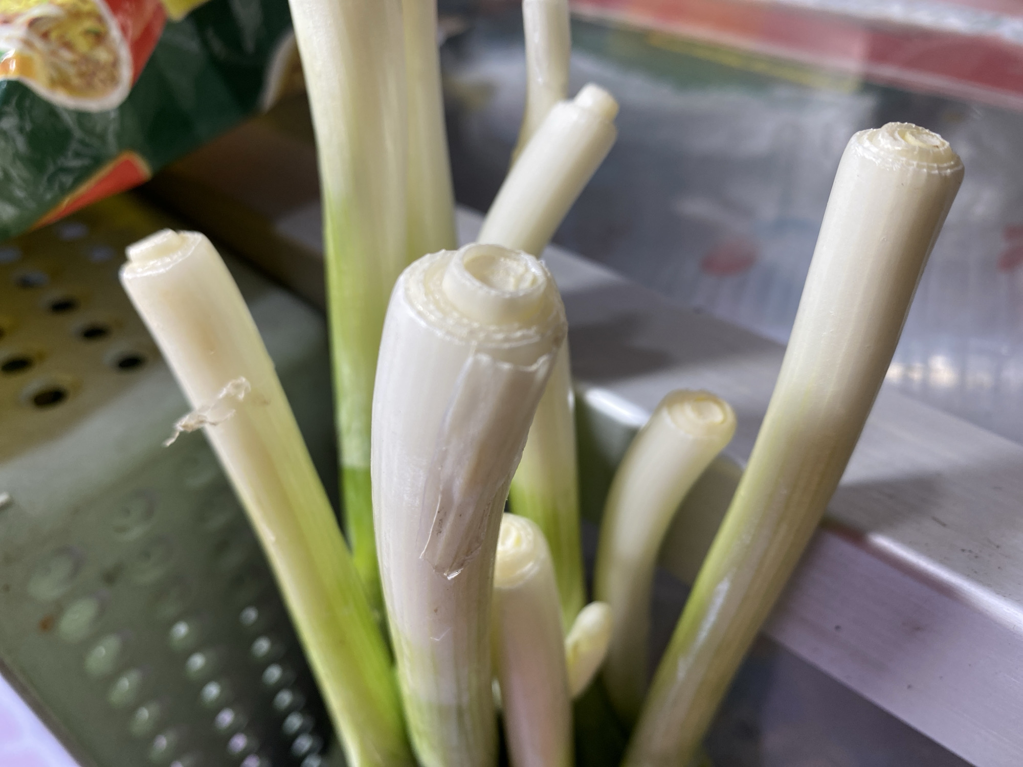 In Kasihan, Indonesia, a close-up, eye-level shot focuses on a bundle of green onions. The green onions are predominantly white with some green stalks visible at the top. The cut ends of the onions reveal a circular, hollow core. The onions are arranged horizontally, with some partially obscured by others. The background is blurred, but appears to be a metallic surface, possibly a grater, and a colorful plastic bag.