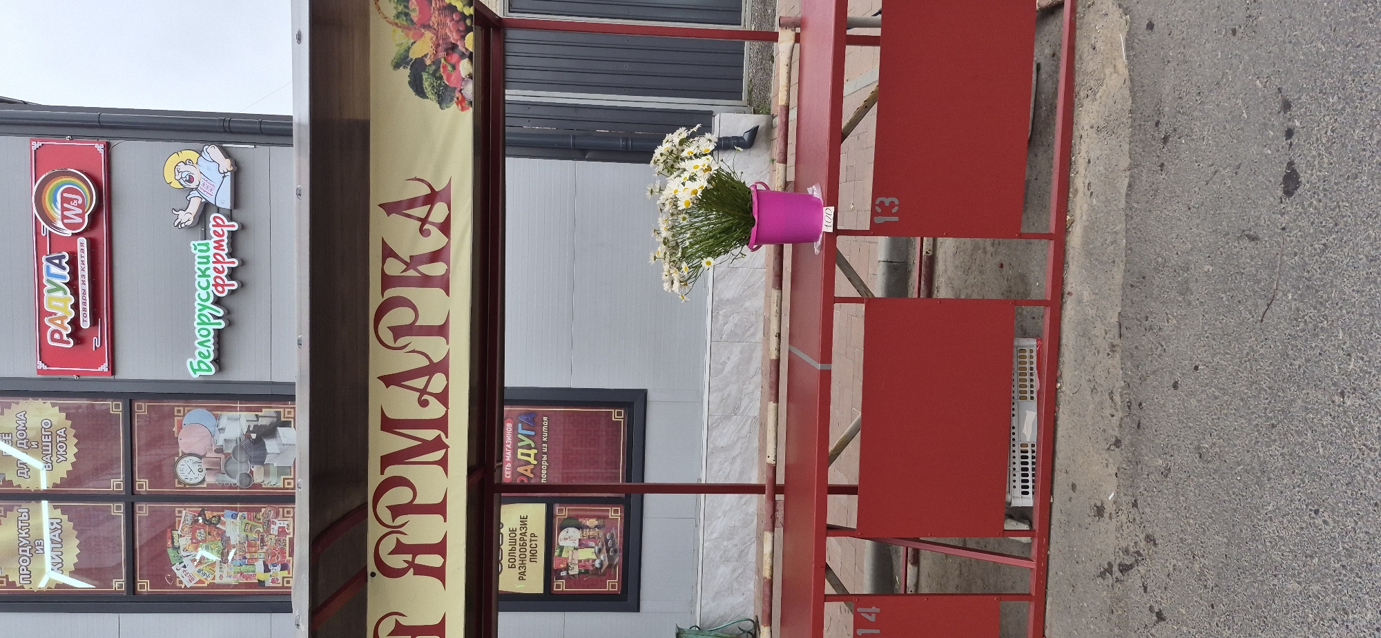 The image depicts an outdoor market stall in Ussurijsk, Russia. The stall features a red metal frame with a yellow awning that reads "ЯРМАРКА" (Yarmarka) in large, ornate red lettering. To the right of the awning, a graphic of a basket of fresh produce is visible. Below the awning, a red table displays a bouquet of white daisies in a pink bucket. A price tag reading "100" is attached to the table in front of the flowers. Numerical labels "14" and "13" are visible on the red metal structure, likely indicating stall numbers. In the background, a grey building is visible with signs for various shops, including "РАДУГА" (Raduga), meaning "Rainbow," which appears to be a chain of stores selling goods from China, and "Белорусский фермер" (Belorusskiy Fermer), meaning "Belarusian Farmer." The ground is asphalt with some debris. A white plastic crate is placed beneath the table on the left side of the stall. The scene appears to be a typical street market or outdoor shopping area.