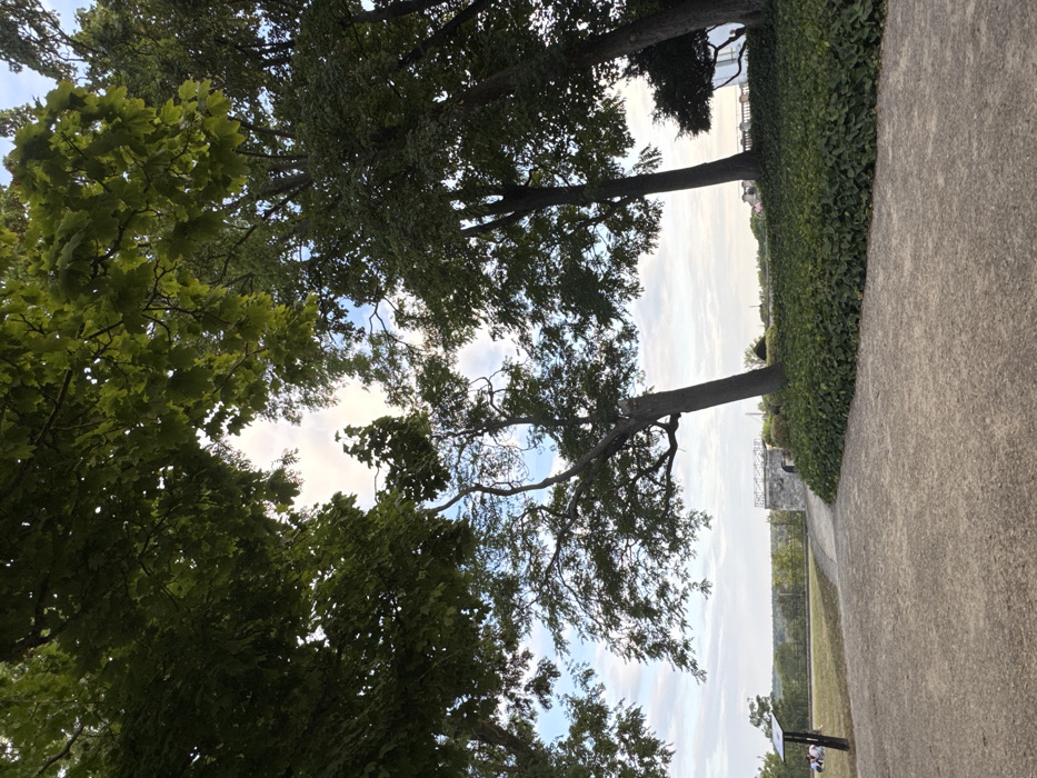 The image depicts an outdoor, elevated landscape located at the Terrasse de l'Esplanade de l'Hôtel de Ville, also known as the Terrasse de l'Abbé Fleury or Jardin des Cloîtres, in Conflans-Sainte-Honorine, France. The perspective is from ground level, looking slightly upwards and across a scenic overlook.
In the foreground, a light-colored gravel or dirt path curves from the lower left towards the mid-right. To the immediate right of this path, a dense expanse of dark green ground cover, possibly ivy, slopes upwards, bordered by the trunks of several mature deciduous trees. These trees, featuring dark green foliage, frame the upper and right portions of the image, their canopies partially obscuring the sky. One prominent tree in the mid-left foreground exhibits an upward-curving trunk.
In the mid-ground, to the left of the path, a grassy area hosts a dark brown informational signpost with a white top. Two individuals are discernible on this grass, seated or reclining. Further along the path and slightly to the right, a light-colored stone structure is visible. This structure features an arched opening and is topped with a light-colored railing or fence, suggesting a viewing platform or part of a historical fortification. Beyond this structure, additional green trees and foliage are present.
The background consists of a partially cloudy sky with patches of blue and diffused bright white light, visible through the tree canopies. A hazy horizon line stretches across the distant landscape, which appears as a broad, darker green expanse, likely representing distant fields or forests. A white building with a darker roof is partially visible through the trees on the far right mid-ground. No specific interactions between the visible individuals are discernible.