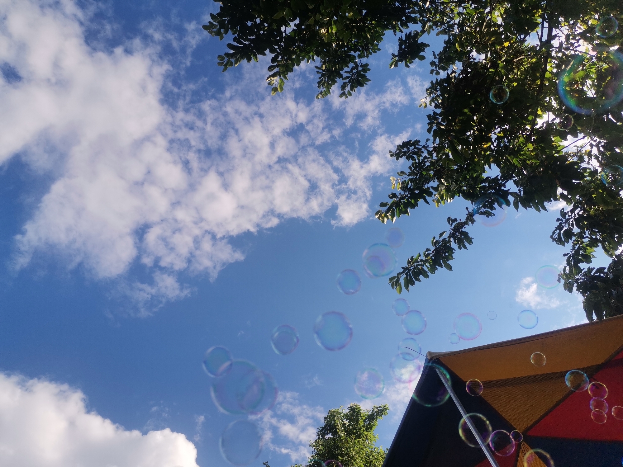 In Osoitsa, Bulgaria, against a backdrop of a bright blue sky dotted with fluffy white clouds, a multitude of iridescent soap bubbles float upwards. Lush green tree branches frame the upper portion of the image, with sunlight glinting off some of the leaves. In the lower right corner, a colorful, partially visible umbrella or awning, with sections of yellow, red, and black, provides a stark contrast to the natural elements. The bubbles, varying in size and reflectivity, catch the light, displaying a spectrum of colors. The overall scene suggests an outdoor recreational activity on a clear day.