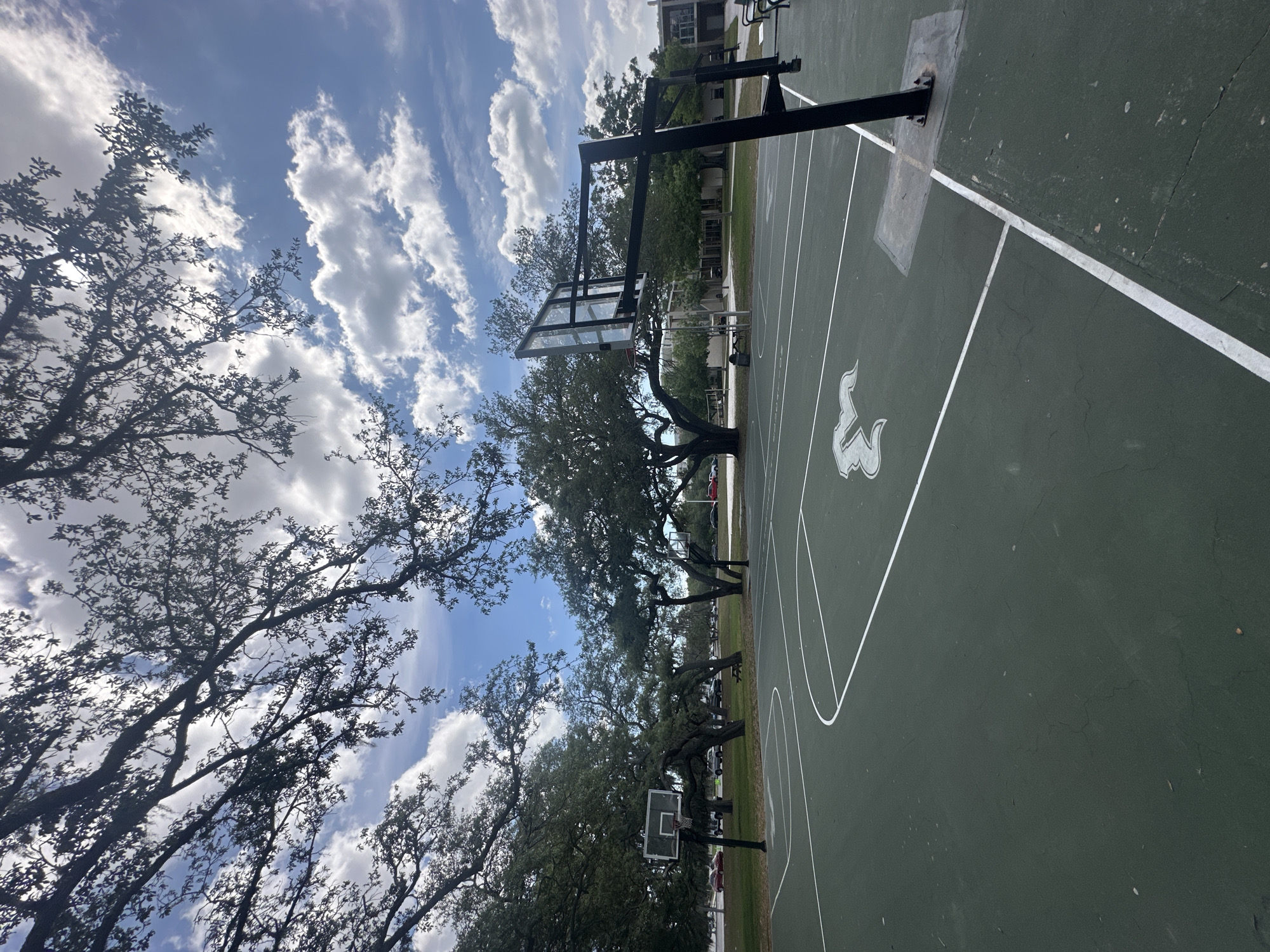 The image depicts a basketball court at USF Park in Tampa, Florida, United States. The court is green with white lines and a white logo. Two basketball hoops are visible. Trees surround the court, and a partly cloudy sky is visible above.