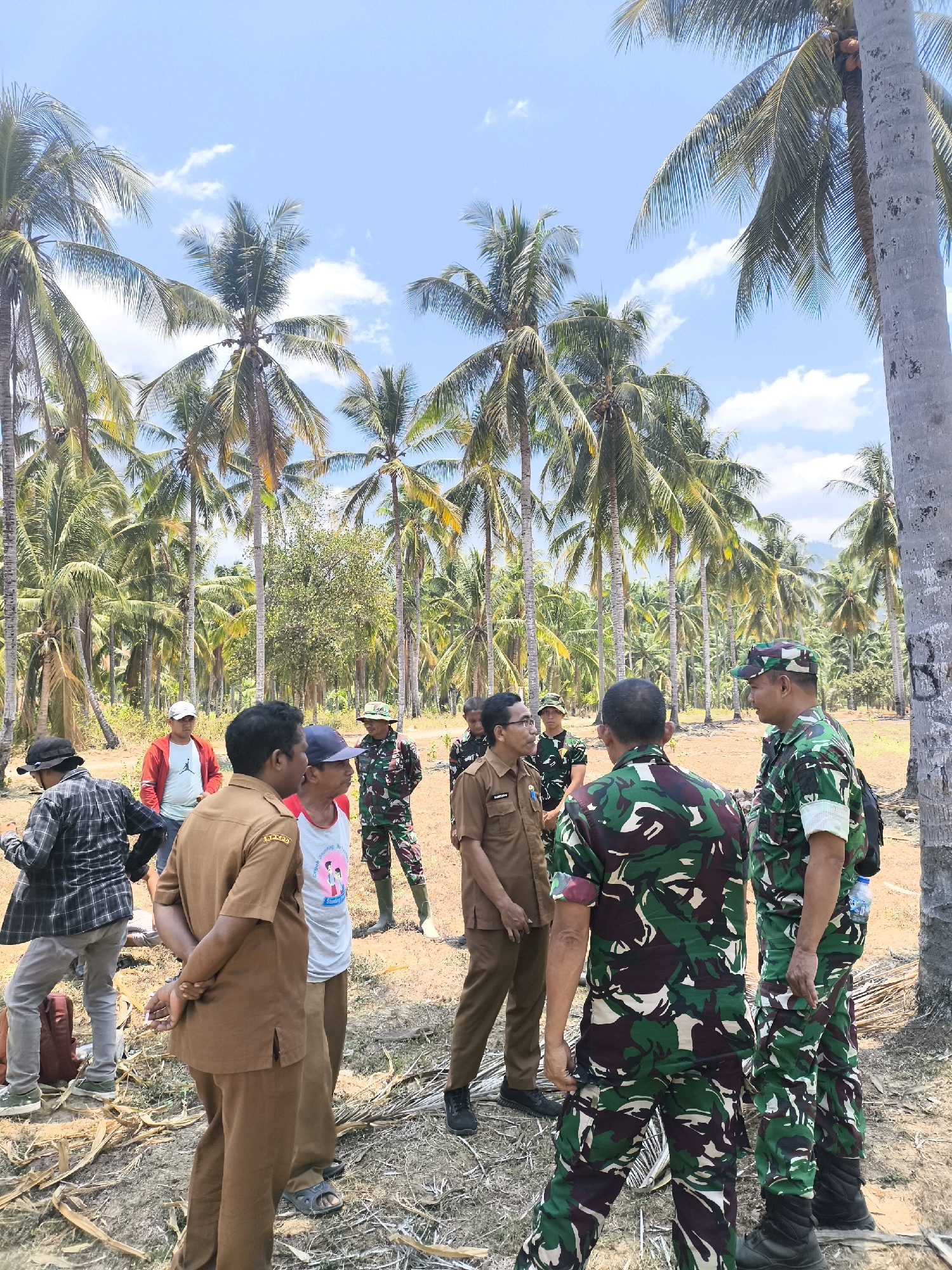 In Modelomo, Indonesia, a group of ten individuals, some in civilian attire and others in military camouflage uniforms, are gathered in a palm tree grove. The ground is covered with dry leaves and debris. The individuals appear to be engaged in a discussion or meeting. The sky is blue with scattered clouds. The environment is rural, with a dense concentration of palm trees.