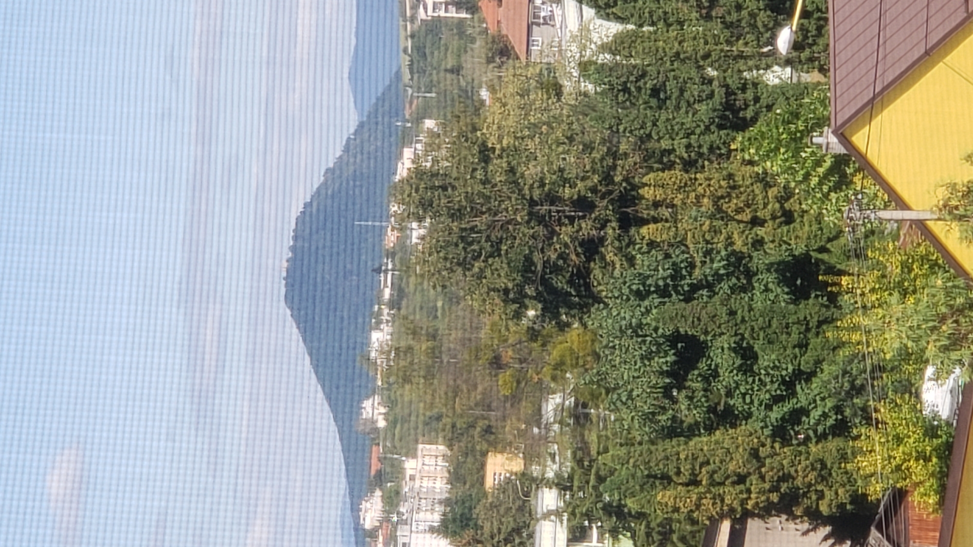 This image, taken from a high vantage point, shows a panoramic view of the city of Prešov, Slovakia, with a prominent hill in the background. The foreground is dominated by lush green trees and foliage, with some yellow and lighter green deciduous trees interspersed. Several residential buildings are visible, including a house with a brown roof and a bright yellow wall in the lower right corner. A utility pole with wires is also present.
Further back, the city unfolds with a mix of buildings, some appearing to be apartment blocks and others smaller houses, nestled on the slopes of the hill. The hill itself is covered in dense green vegetation, with a suggestion of structures or a clearing at its summit. The sky above is a pale blue with a few wispy clouds, and a subtle grid pattern, possibly from a window screen, is visible throughout the image. The lighting suggests it is daytime, with the sun illuminating the scene.