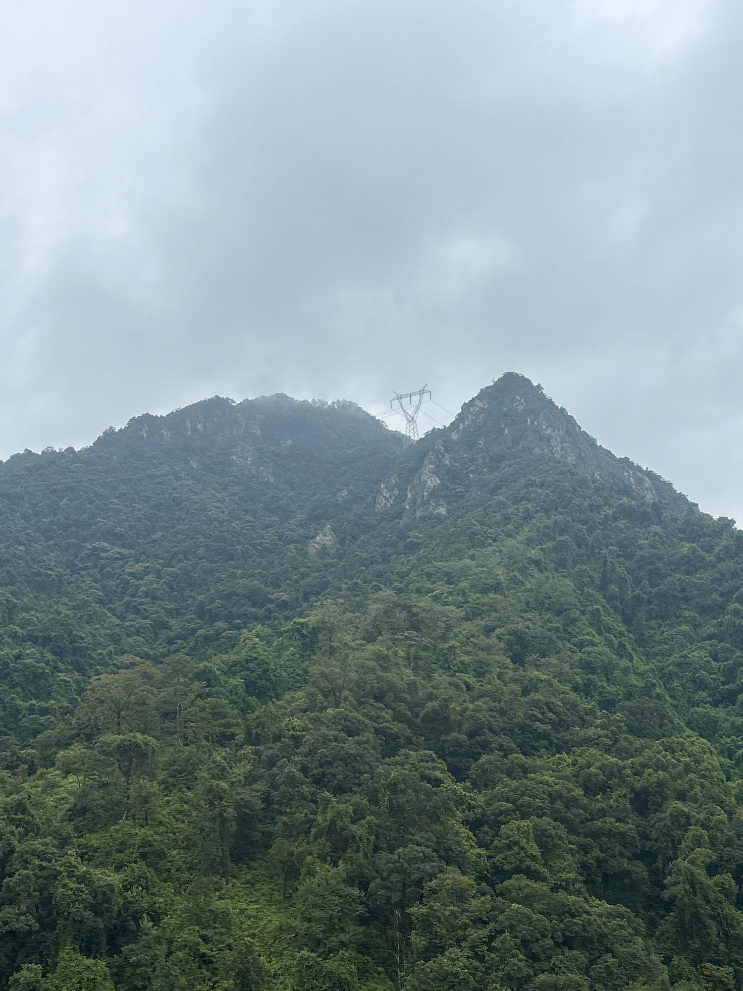 This image depicts a vast, densely forested mountainside under a heavily overcast sky. The mountain is covered in a thick canopy of various shades of green foliage, with some exposed rocky patches visible on its slopes. At the summit of one of the peaks, a tall, lattice-like transmission tower stands prominently against the gray sky, its metallic structure contrasting with the natural landscape. The lower slopes are also thickly wooded, suggesting a natural environment, likely a protected area or a rural mountainous region. The overall atmosphere is somber and diffused due to the cloudy weather. The specific location within Foshan, China, is not discernible from the image itself; it presents a generic mountainous landscape common to regions with such topography. There are no people or discernible human activities depicted, other than the presence of the electrical transmission tower.