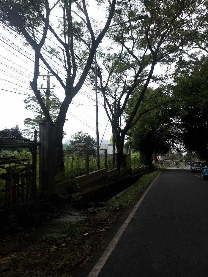 The scene depicts a roadside view in Kamji Na-Yekha, Bhutan, under an overcast sky. The primary elements include an asphalt road, dense vegetation, and utility infrastructure.
On the left, a weathered concrete pillar is partially obscured by dark foliage, adjacent to a dilapidated wooden framework or structure. A low concrete wall, topped with a wire mesh fence, extends into the midground, bordering a verdant, overgrown area. A concrete-lined drainage ditch runs parallel to the road, situated between the fence line and the asphalt, containing dark liquid or debris.
Multiple mature trees with dark, visible trunks and branches, some with sparse foliage, are silhouetted against the bright sky, lining the left side of the road. Numerous overhead power lines crisscross the upper frame, supported by at least two utility poles, one wooden with cross arms and one slender pole. In the mid-distance behind the fence and trees, a light-colored building featuring a green dome and a minaret-like structure is visible, alongside another adjacent building. A faint mountain outline appears in the far background.
The asphalt road, marked by a white solid line on its left edge, recedes towards the right, indicating a gentle curve. Dense green foliage forms a canopy over the right side of the road in the distance. Several vehicles, including cars and what appear to be scooters or motorcycles, are visible in the distance on the road. A light blue scooter or motorcycle is present on the far right in the immediate background. No individuals are clearly discernible.