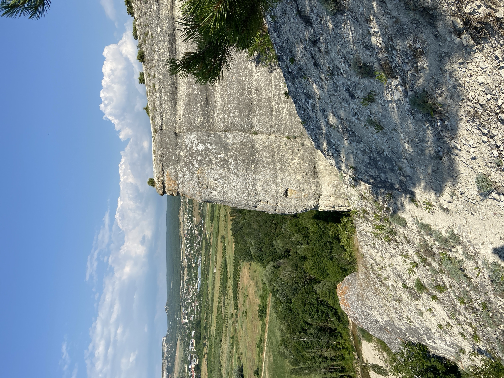A high-angle shot looks out over a valley from a rocky cliff. The cliff face, the foreground, and the slope are covered in light-colored, weathered rock and sparse vegetation. In the midground, a dense green forest lines the valley, with a small river or stream visible in the lower left. Beyond the forest, a town with red-tiled roofs stretches across a plain dotted with fields. In the distance, more rolling hills, partially covered in trees, are visible under a bright blue sky with scattered white clouds. A pine branch is visible in the upper right corner. The location is identified as the village of Kuybyshevskoye, Simferopol Raion, Crimea, Ukraine.