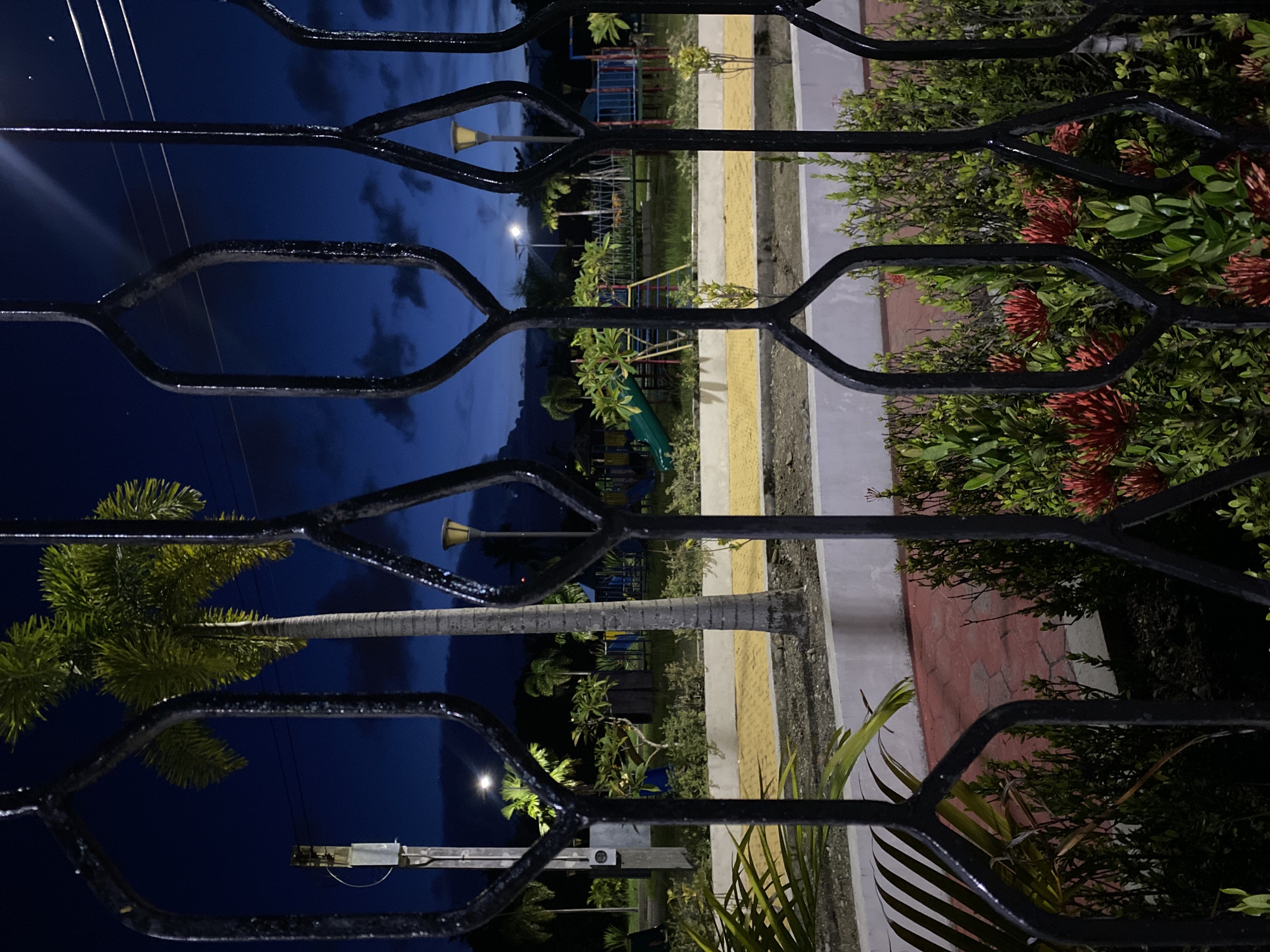 The image depicts a view of a park at dusk, seen through a black metal fence. The sky is a deep blue, with some clouds visible. The park features a palm tree, several smaller trees, and a playground with slides and swings. There are also streetlights illuminating the area, and a light pole on the left side of the image. In the foreground, there are red flowers and green bushes. The red paving stones are also visible in the foreground. This scene is located in Davao City, Philippines.