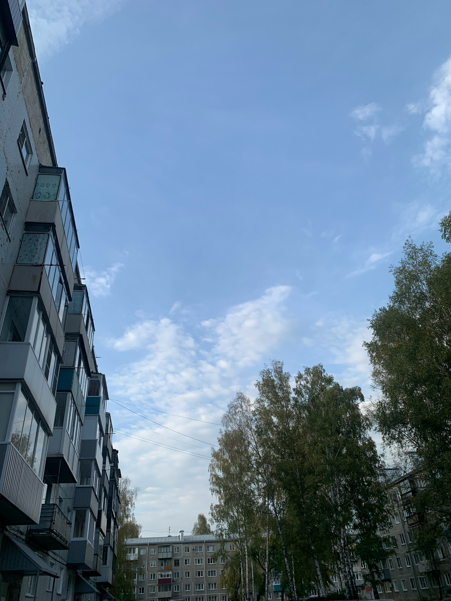 This is a low-angle outdoor photograph taken in Prokopyevsk, Russia, under a cloudy blue sky. In the foreground on the left, a multi-story apartment building with numerous balconies is visible, extending vertically up the frame. The building's facade is a light, textured material, possibly concrete or stucco, with some visible signs of wear. The balconies are enclosed with glass and metal railings. To the right of the apartment building, a line of tall deciduous trees with green and yellowing foliage dominates the mid-ground, suggesting an autumn season. In the background, another apartment building, flatter and wider than the one in the foreground, is visible, characterized by a grid of windows and a grey roof. Power lines are strung across the sky between the buildings and trees. The overall impression is an urban residential area on an overcast day.