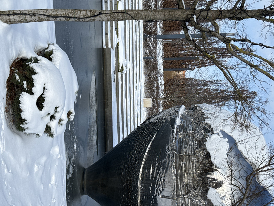 The image presents a snow-covered urban environment in Plodorodny, Russia, under a clear, light blue sky. In the foreground, two snow-laden evergreen shrubs are situated on snow-covered ground. To the left, a bare deciduous tree with light-colored bark, wrapped with dark string lights, partially obstructs the view. The midground features a body of water, partially frozen with ice visible on its surface. A large, dark, metallic sculpture, conical at its base and featuring a textured, rippled surface, emerges from the water on the right. The sculpture's upper portion is covered in a significant accumulation of snow and ice. Behind the water, a series of wide, snow-covered concrete or stone steps ascend diagonally. The background contains a sparse arrangement of bare deciduous trees and shrubs on snow-covered terrain, followed by a dense row of tall, slender, leafless trees. Dark vertical poles are interspersed among these trees. A light-colored building is faintly visible in the distant background. No individuals, animals, or vehicles are present in the scene.