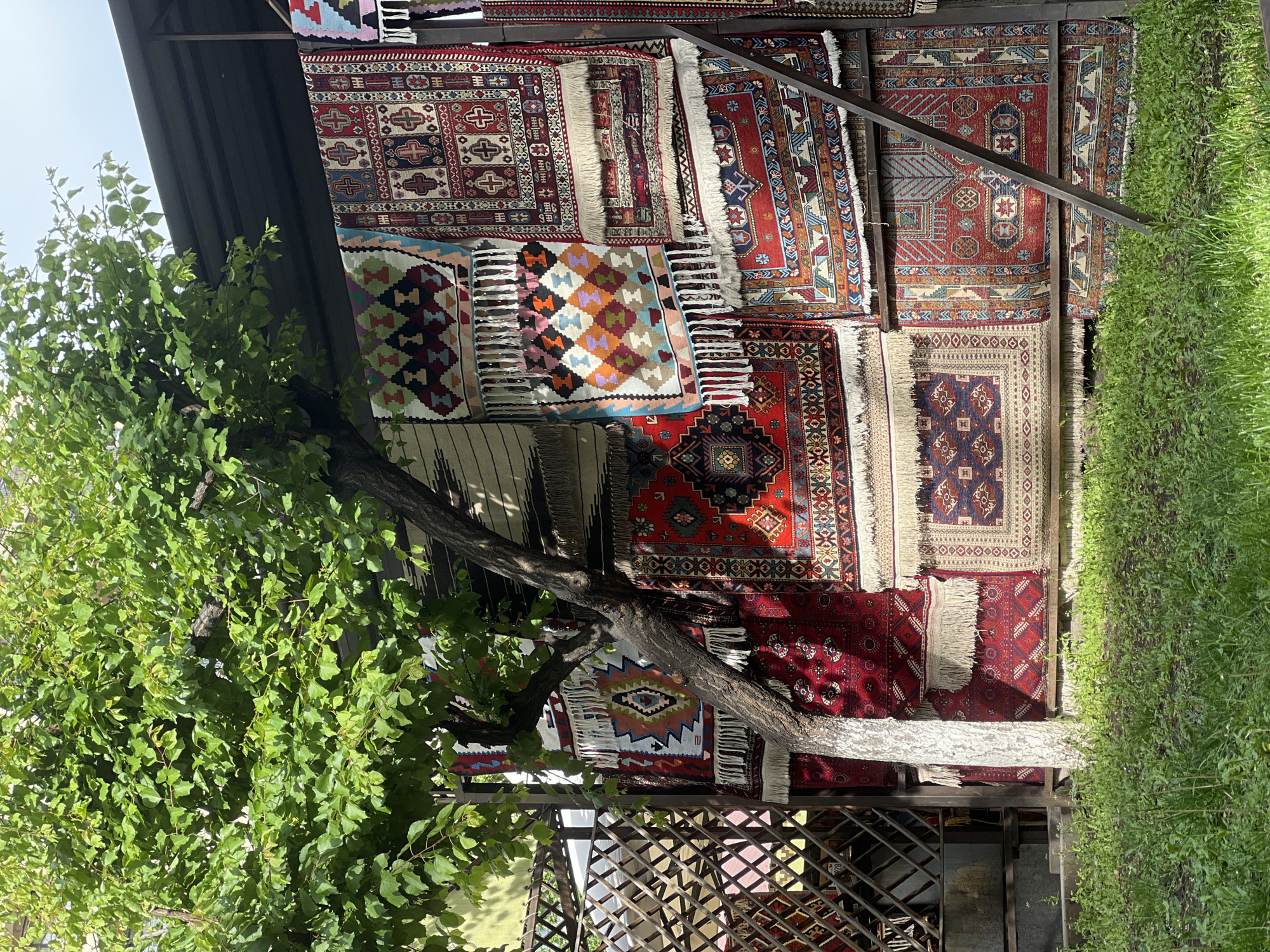 A collection of vibrant, patterned rugs adorns a display structure, likely for sale, partially obscured by the foliage of a tree. The rugs are various sizes and designs, many with fringes. The tree, with its green leaves and a section of its trunk painted white, is a prominent foreground element. The display structure appears to be made of dark metal. In the background, a fenced area with a lattice design is visible. The green of well-maintained grass is visible in the upper right. Based on the availability of rugs and their association with the region, this image is likely in Yerevan, Armenia.