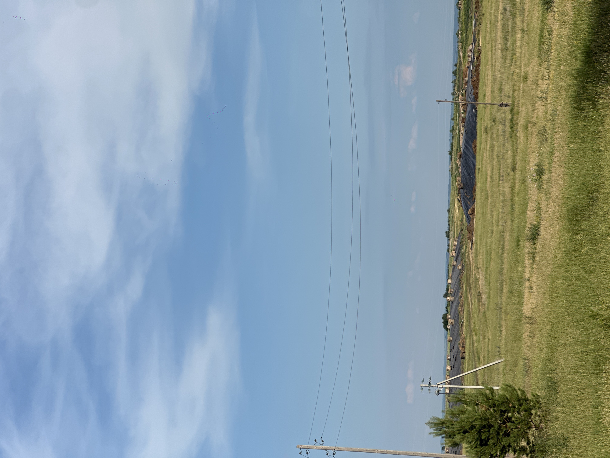 A wide shot captures a vast, green field under a bright blue sky dotted with wispy white clouds. The image is oriented vertically, with the sky occupying the left two-thirds and the field the right third. Power lines stretch across the sky, supported by utility poles, with one pole prominently featured in the lower right quadrant. In the distance, a dark, textured area resembling a landfill or construction site runs along the edge of the field, bordered by a line of trees. A small, bushy evergreen tree is visible in the foreground of the field. Small, dark specks, likely birds or insects, are scattered throughout the sky and field. The sunlight suggests it's daytime. The scene appears to be in a rural or semi-rural location, possibly agricultural or industrial. No text is visible.