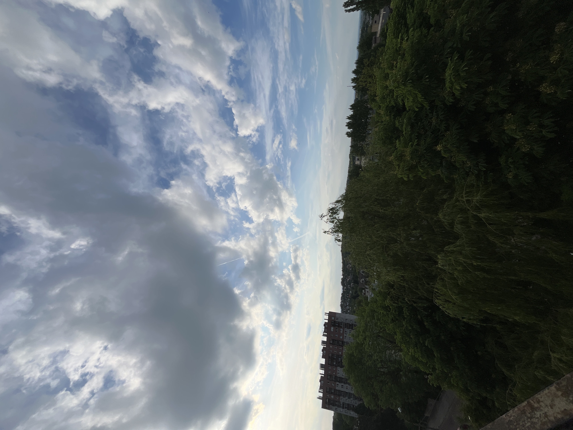 The image shows a view from an elevated position in the city of Unknown, Unknown. The sky occupies the majority of the frame, displaying a mix of cumulus and cirrus clouds. Some clouds are dark grey, while others are white and fluffy, with patches of blue sky visible in between. A contrail from a passing airplane cuts across the sky.
The right side of the image features lush greenery, including trees and dense foliage, likely part of a park or wooded area. Buildings, including an apartment complex, are nestled amongst the trees. The overall impression is one of a vibrant city landscape juxtaposed with natural elements. The perspective suggests the photo was taken from a high vantage point, such as a rooftop or upper-story window. A concrete structure is visible at the bottom-right corner. The image appears to be rotated 90 degrees counterclockwise.