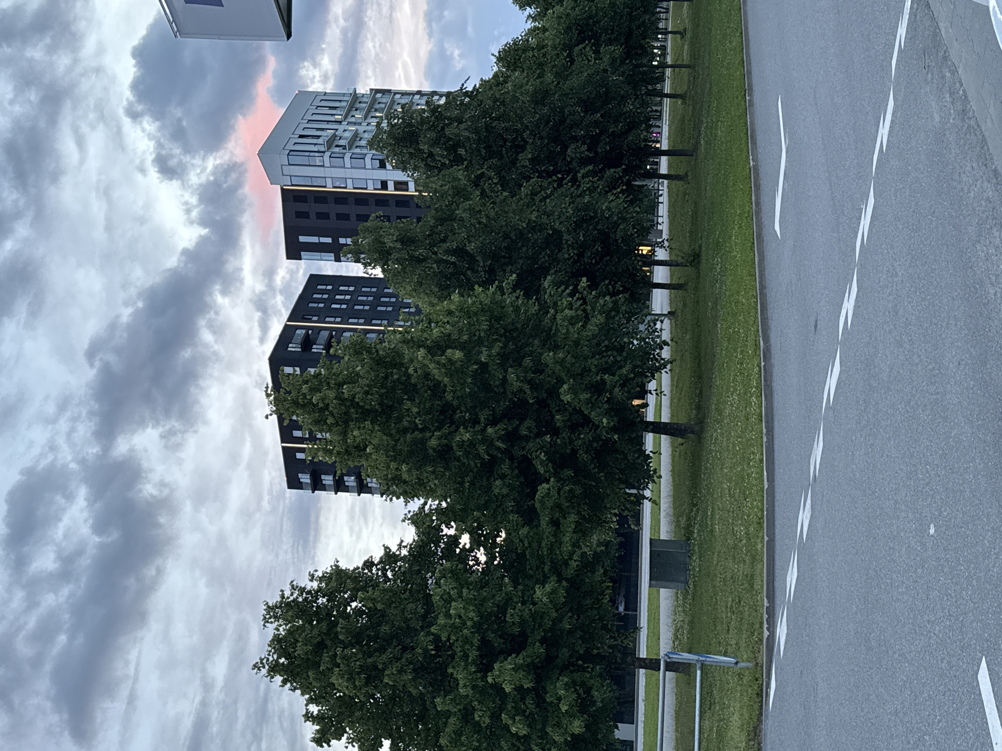 The image depicts a street scene in Tallinn, Estonia, under a cloudy sky with hints of pink sunset light. In the background, two modern, dark-colored apartment buildings stand tall, with a lighter, glass-facade building situated to their right. The foreground features a paved road with white lane markings, including dashed lines and an arrow indicating a turn. Adjacent to the road is a strip of green grass, lined with several trees. A metal barrier is visible on the left side of the image, and a small, grey utility box is located near the grass and trees. The overall atmosphere is urban and contemporary, with the natural elements of trees and sky providing a contrast to the architecture. There are no people or vehicles visible in the frame.