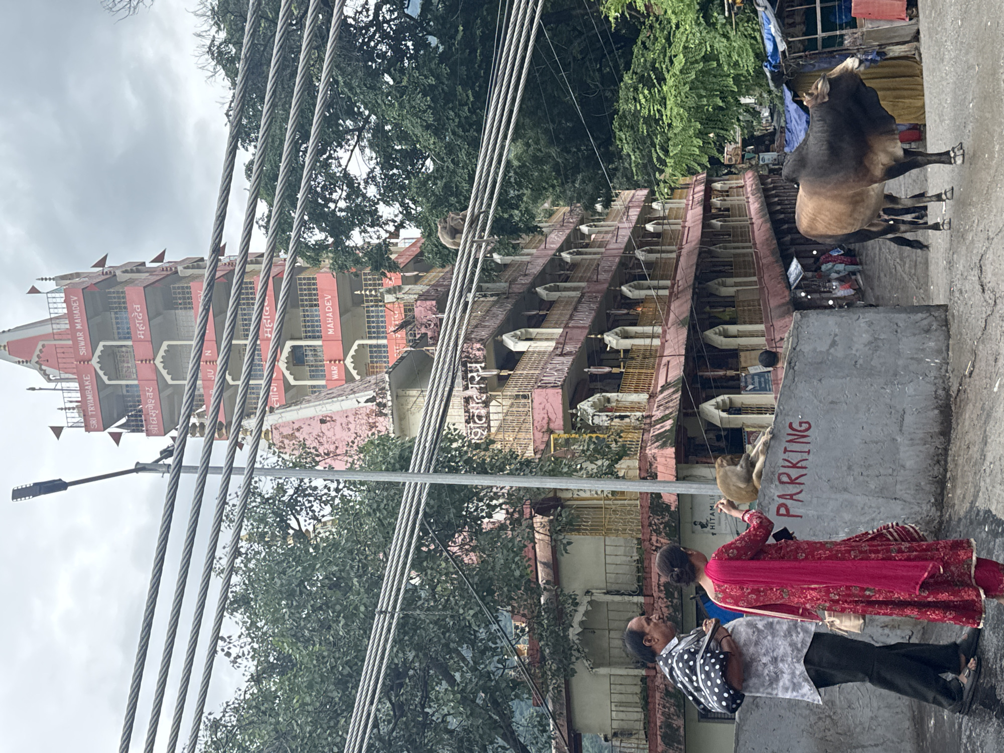 In Rishikesh, India, a multi-story building with ornate architecture and Indian script visible on its facade stands tall. In the foreground, two people, a man and a woman, walk past a concrete barrier with the word "PARKING" painted in red. To their right, a monkey sits on the barrier, interacting with the woman who appears to be offering it something. Further to the right, a brown and black bull stands on a paved street. Overhead, thick cables, possibly for electricity or transportation, stretch across the frame, obscuring parts of the sky and the building. Lush green trees are visible in the background, indicating a natural environment surrounding the urban setting. The scene is set against a cloudy sky, suggesting overcast weather.