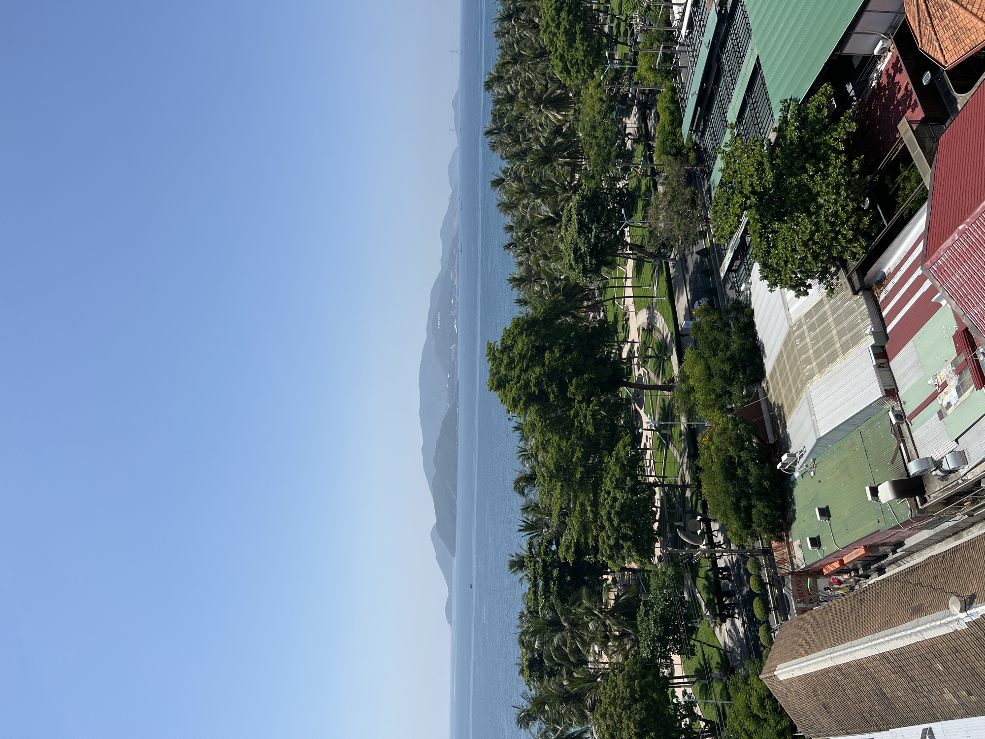 An elevated, wide-angle view captures a coastal city scene in Nha Trang, Vietnam, under a clear blue sky. The foreground features a collection of rooftops in varying shades of brown, green, and red. A large, lush green tree is prominently positioned above some of these structures. Beyond the buildings, a verdant park area is visible, characterized by manicured lawns, pathways, and numerous palm trees. A road runs through this area, with a few individuals walking on the sidewalk. In the mid-ground, a dense line of palm trees forms a transition to the expansive blue ocean. Further out, islands and hills rise in the distance, with a small boat visible on the water. The overall impression is one of a tropical coastal city.