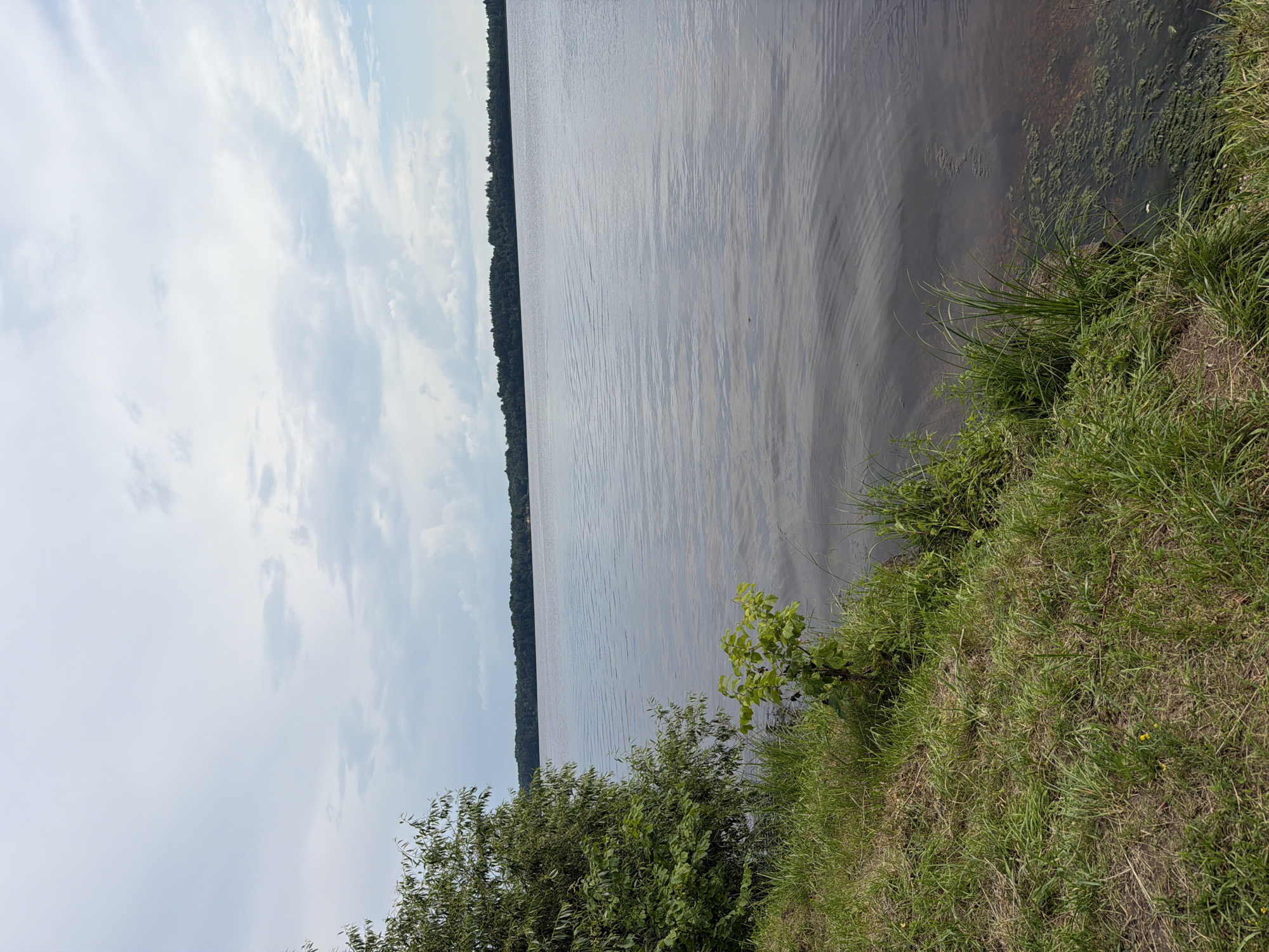 The image depicts a wide, calm body of water, likely a river or lake, with a distant tree-lined shore. The foreground features a grassy bank with some small bushes and green vegetation growing along the water's edge. The sky is overcast with scattered clouds. The overall scene is natural and serene, with no human presence or activity visible. This vista is consistent with the landscape found along the Daugava River in Saulkalne, Latvia, known for its expansive riverine environment and natural surroundings.