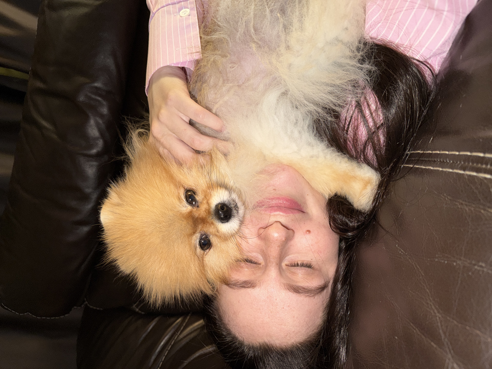 The image captures a close-up, overhead view of a person and a small dog intimately snuggled together indoors. A female individual, with long dark hair, is lying on her back on a dark brown leather sofa or armchair. She is wearing a pink and white striped long-sleeved shirt. Her eyes are closed, and a gentle smile is evident on her lips, conveying a sense of peace and relaxation. A small, fluffy dog, appearing to be a Pomeranian with light brown-orange fur, is nestled on her chest and neck area. The dog's head is turned towards the viewer, its dark eyes open and alert, while its lighter-colored belly fur is visible. The person's hand is gently resting on the dog's side, suggesting an affectionate bond. The setting is indoors, with soft, ambient lighting, indicating a cozy atmosphere. No visible text is present in the image.