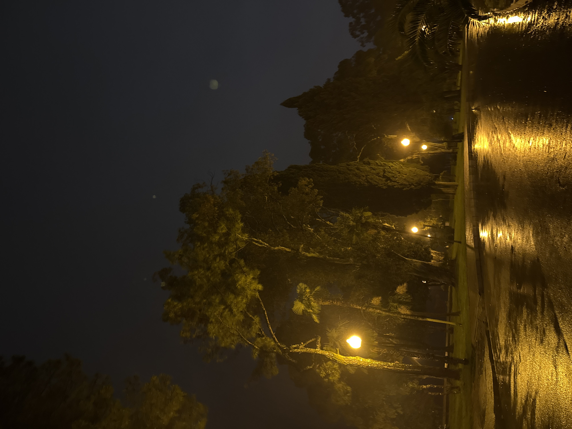The image depicts a street scene at night, likely after rain, in what appears to be a park or landscaped area. The location is Sokhumi, Abkhazia.
Environment:
* The scene is dark, illuminated by streetlights.
* The road is wet, reflecting the light, suggesting recent rain or ongoing damp conditions.
* Trees and other vegetation line the roadside.
Objects:
* Streetlights are visible, emitting a warm, yellow light.
* A wet road surface.
* Trees and bushes of various types.
Actions:
* The main action is the illumination of the scene by the streetlights, causing reflections on the wet surface.
There are no people visible in the image. There is no evidence of other objects or structures that are not already specified.