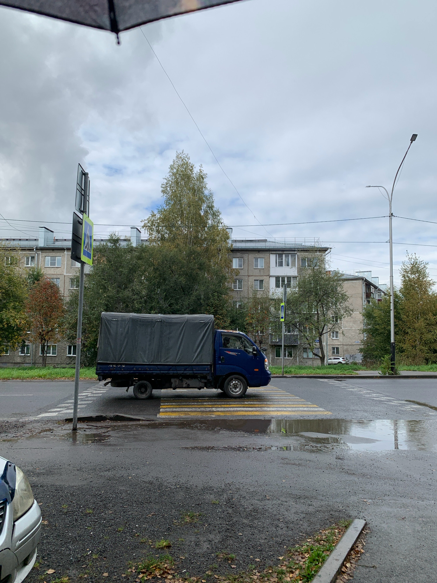A blue flatbed truck with a gray tarp covering its cargo is stopped at a crosswalk in Prokopyevsk, Russia, on an overcast day. The truck is positioned on a wet, asphalt road, with the front of the vehicle slightly angled towards the left. The crosswalk has yellow and white stripes and is partially covered by puddles of water, indicating recent rain. A pedestrian crossing sign is visible to the left of the truck. In the background, a multi-story apartment building with light-colored walls and numerous windows stands behind a row of green trees. A lamppost is visible on the right side of the image. The foreground shows the wet road surface and a small portion of the front of a silver car.