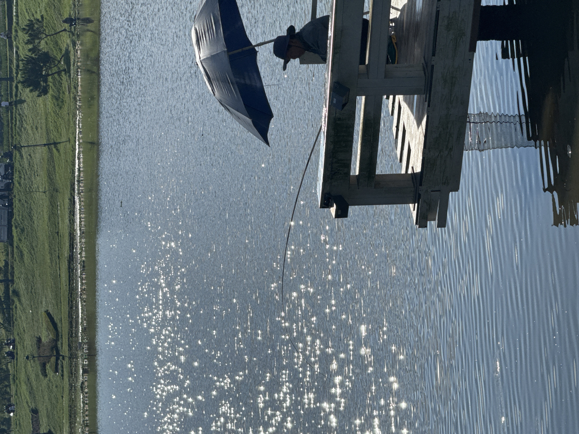 A man sits on a wooden pier on Tuyen Lam Lake in Da Lat, Vietnam, fishing with a rod and under a blue umbrella. The lake's surface reflects sunlight. Grass and trees line the shore in the background.