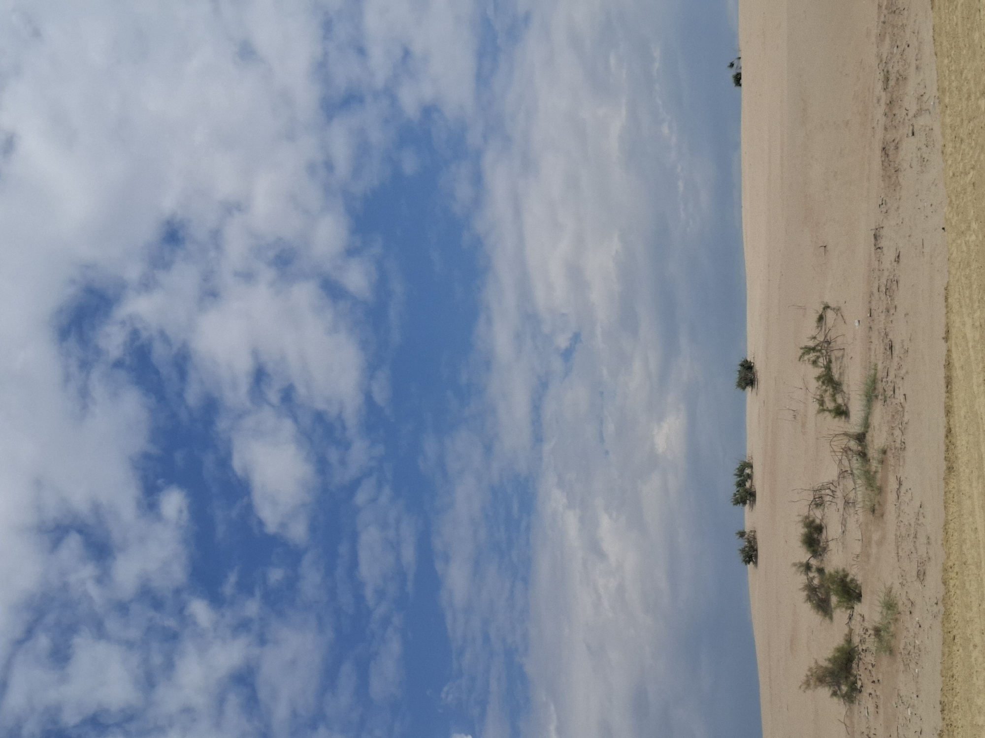 The image depicts a vast expanse of sand dunes under a partly cloudy sky. The sand is light brown, with subtle variations in shade that suggest the contours of the dunes. Sparse, dry vegetation, appearing as small bushes and scattered branches, dots the landscape, mostly concentrated in the foreground and midground. The sky is a vibrant blue, interspersed with fluffy white clouds that cast soft shadows. In the far distance, a darker, more overcast sky is visible, hinting at a change in weather. The overall scene is one of natural desert beauty and tranquility, devoid of any human presence or artificial structures.