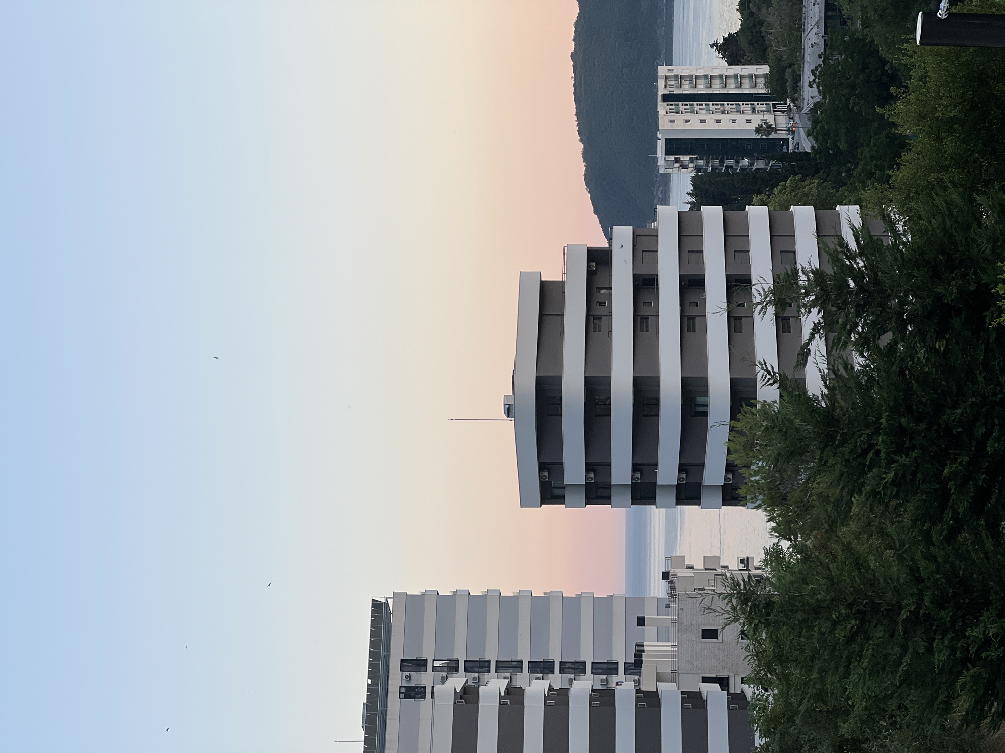 The image depicts a scene in Boreti, Montenegro, at dusk. In the foreground, dense green trees obscure the lower part of the frame. Behind the trees, several modern apartment buildings with balconies are visible. The building on the far left is tall and slender with grey and white horizontal bands. Next to it, a wider building with a curved facade also features alternating grey and white horizontal sections. Further in the background, a cluster of taller, white apartment buildings stands near the water. The sea is visible as a calm body of water reflecting the soft colors of the sky. A forested hill rises in the distance, bordering the coastline. The sky transitions from a light blue at the top to a pale pink and orange hue near the horizon, indicating either sunrise or sunset. Several small dark shapes, likely birds, are scattered across the sky. The overall atmosphere is serene and tranquil.