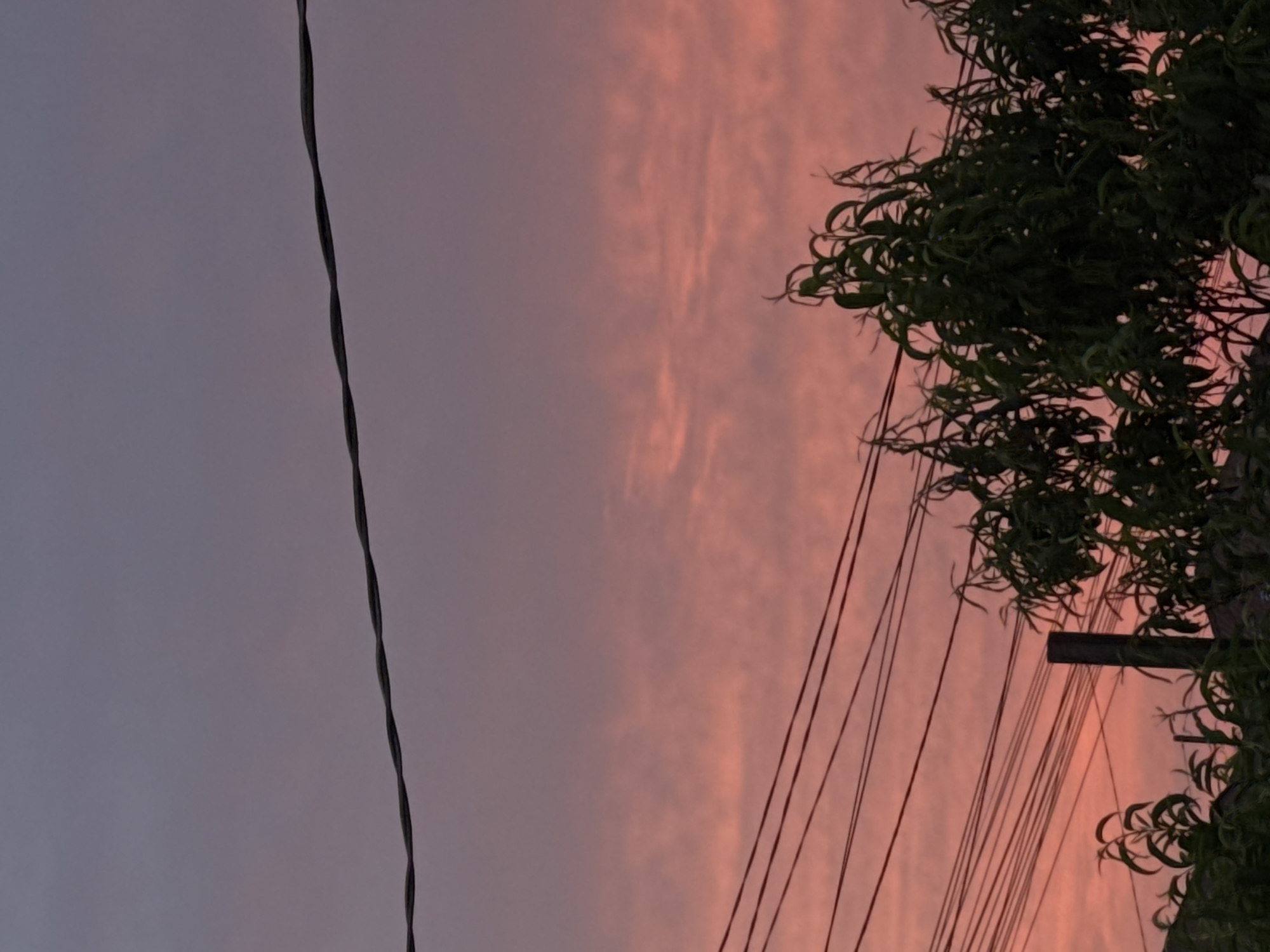 The image depicts a dusk sky filled with soft pink and purple hues, indicative of a sunset. Several power lines stretch horizontally across the frame, with a prominent thicker line closer to the top. Below the sky, the upper branches of a dark green tree are visible. In the lower portion of the image, a dark, vertical pole stands partially obscured by the foliage, with more power lines extending outwards from it. The scene appears to be an outdoor setting within the city of Mikhaylovsk, Russia, likely a residential or semi-urban area given the presence of overhead electrical infrastructure and vegetation. No people or specific actions are depicted.