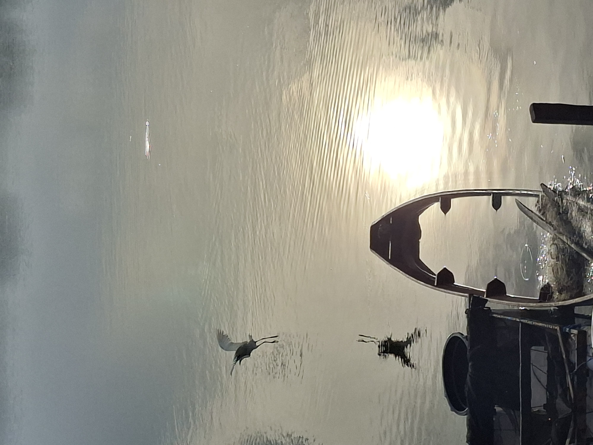 An egret is captured in mid-flight, its wings outstretched, over the calm surface of a body of water. The water reflects the bright sun, creating shimmering patterns and highlights. In the foreground, a dark-colored boat, partially submerged, rests on the water. The boat appears to be carrying some equipment, including a black bucket. The scene is likely a natural setting within or near the city of Lhokseumawe, Indonesia, given the water and the presence of a bird and boat, common elements in coastal or riverine environments found in the region. The overall atmosphere is serene, with the focus on the bird's graceful movement against the backdrop of the sunlit water.
