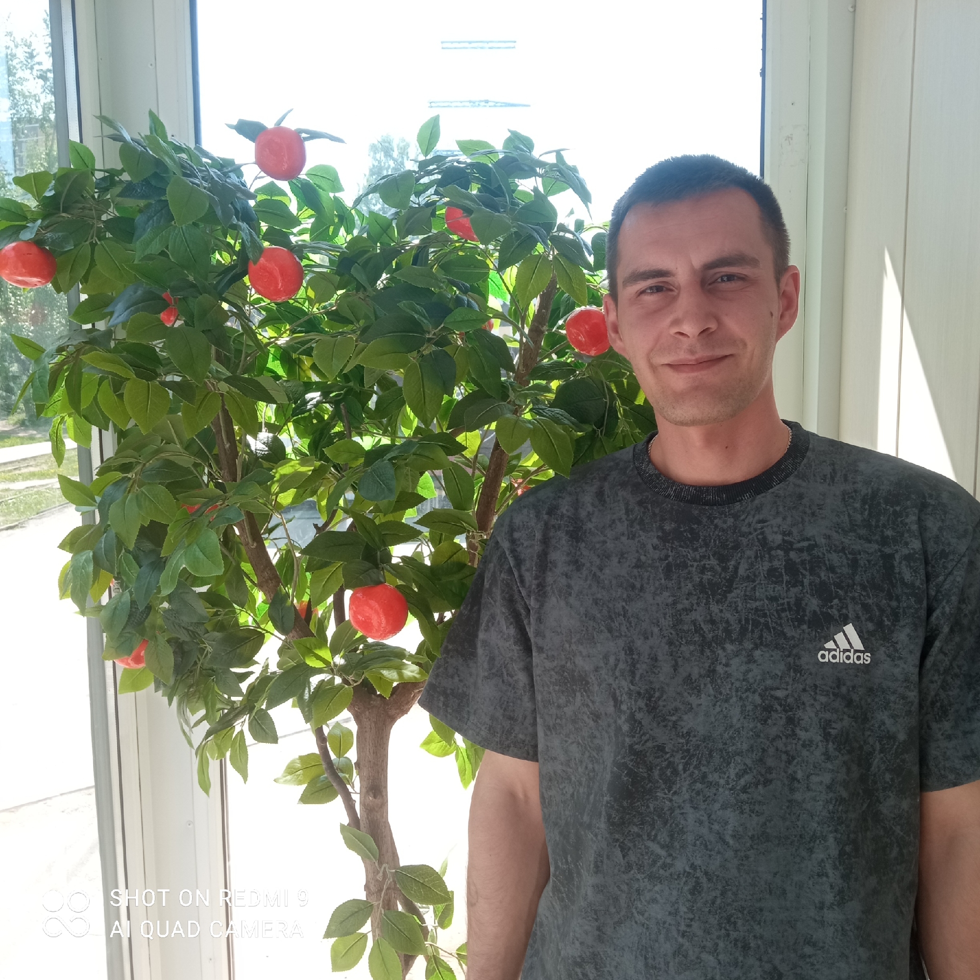 A man stands next to a small tree with orange fruits in a room with a large window. The man is fair-skinned with short, dark hair. He is wearing a gray t-shirt with an Adidas logo. The tree is positioned to his left, with green leaves and bright orange, round fruits. The room has white walls and a large window, providing natural light. Based on the geotagging present in the metadata of the original image, this photo was taken in Izhevsk, Russia.