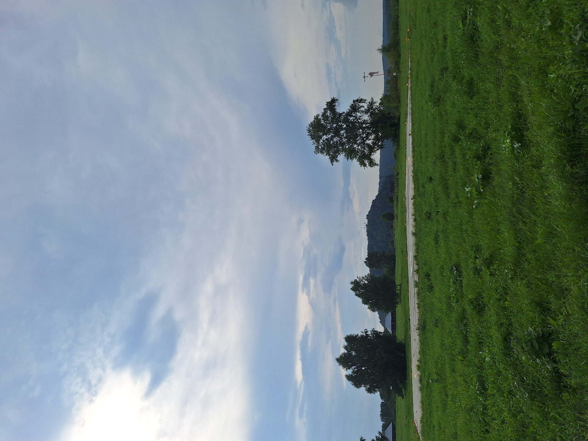 An outdoor, wide shot captures a vast, grassy field under a cloudy sky. In the foreground, the field is lush and green, with scattered weeds and some patches of taller grass. A paved surface, possibly a road or runway, traverses the middle ground, marked with yellow cones and markings. Several trees are dotted across the landscape. To the left, a cluster of trees stands near a few small, dark-roofed buildings. In the center, a larger, more prominent tree is visible, and further to the right, a single, large tree dominates the frame. Beyond the field and trees, a tree-covered hill rises in the background on the left, while the right side features a more distant, lower tree line. A windsock is prominently displayed on a pole in the right-middle ground. The sky is a mix of light and dark clouds, with a bright patch of light on the left indicating diffused sunlight. The scene appears to be a rural or semi-rural area, possibly near an airfield, given the presence of the paved surface and windsock. The location is identified as Atamanovka, Russia. There are no people or animals visible in the image.