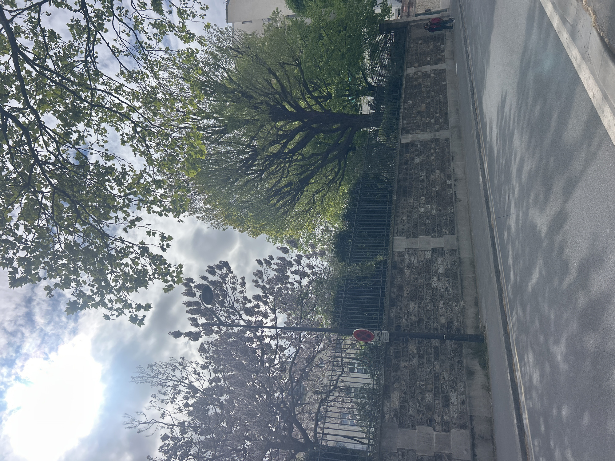 A street in an urban area is shown. The road runs from the upper right to the lower right of the image. A stone wall with a black metal fence runs along the left side of the road. Trees are on the other side of the wall, with branches and leaves reaching toward the sky. The sky is visible through the leaves, with some clouds and bright sunlight. A person can be seen walking along the edge of the road in the upper right corner. A street sign and lamppost are attached to the wall. The overall impression is of a street scene with a mix of natural and urban elements. The location is Unknown, Unknown.