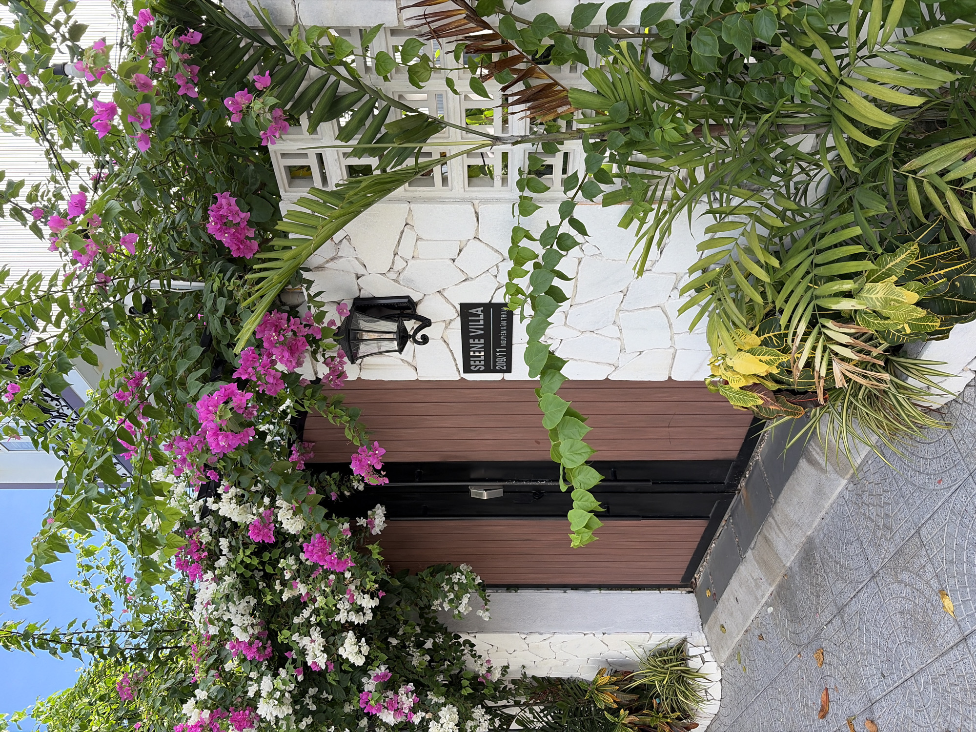 The image depicts the entrance to "SELINE VILLA" at 209/11 Nguyen Van Thuan street in the city of Da Nang, Vietnam. The villa features a textured white stone wall adorned with blooming bougainvillea in vibrant pink and white. A wooden double door with black metal accents serves as the main entrance. To the left of the door, a black lantern is mounted on the wall. To the right, a decorative white screen allows glimpses of greenery behind it. Lush tropical plants, including palm fronds and leafy vines, surround the entrance. The ground is paved with grey tiles arranged in a circular pattern. The scene is bathed in natural daylight, suggesting it was captured during the daytime. No people are visible in the frame.