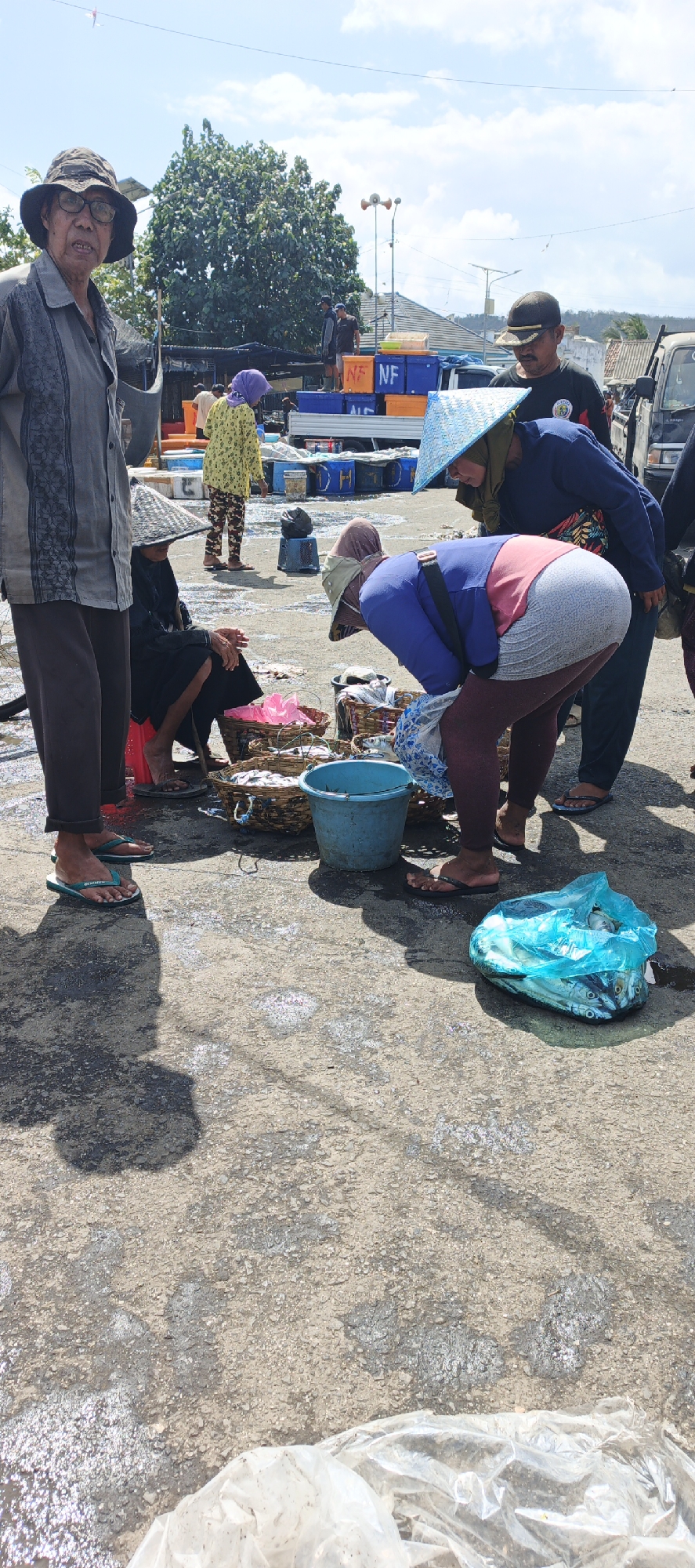 This image depicts a fish market scene in Puger, Indonesia, under a clear, bright sky. In the foreground, an elderly man wearing glasses and a wide-brimmed hat stands on the left, looking towards the viewer. He is dressed in a grey patterned shirt and dark trousers. Beside him, three people are engaged in activities related to selling fish. One person, seated and wearing a black garment and a straw hat, is partially visible. Another person, in a yellow shirt and purple headscarf, stands near a truck. The central focus is on two individuals bent over baskets filled with fish. One person, wearing a blue shirt and a conical straw hat, is leaning over a basket. Adjacent to them, another person, dressed in a blue top and a grey and pink garment, is also bent over, seemingly handling fish. A blue bucket and various woven baskets containing fish are scattered on the textured, wet concrete ground. To the right, a bright blue plastic bag filled with fish rests on the ground, its contents visible through the translucent material. In the background, a truck with several blue crates, some labeled "NF", is parked. Trees and buildings are visible behind the market activity, suggesting an urban or semi-urban setting. The overall atmosphere suggests a busy, outdoor market environment.