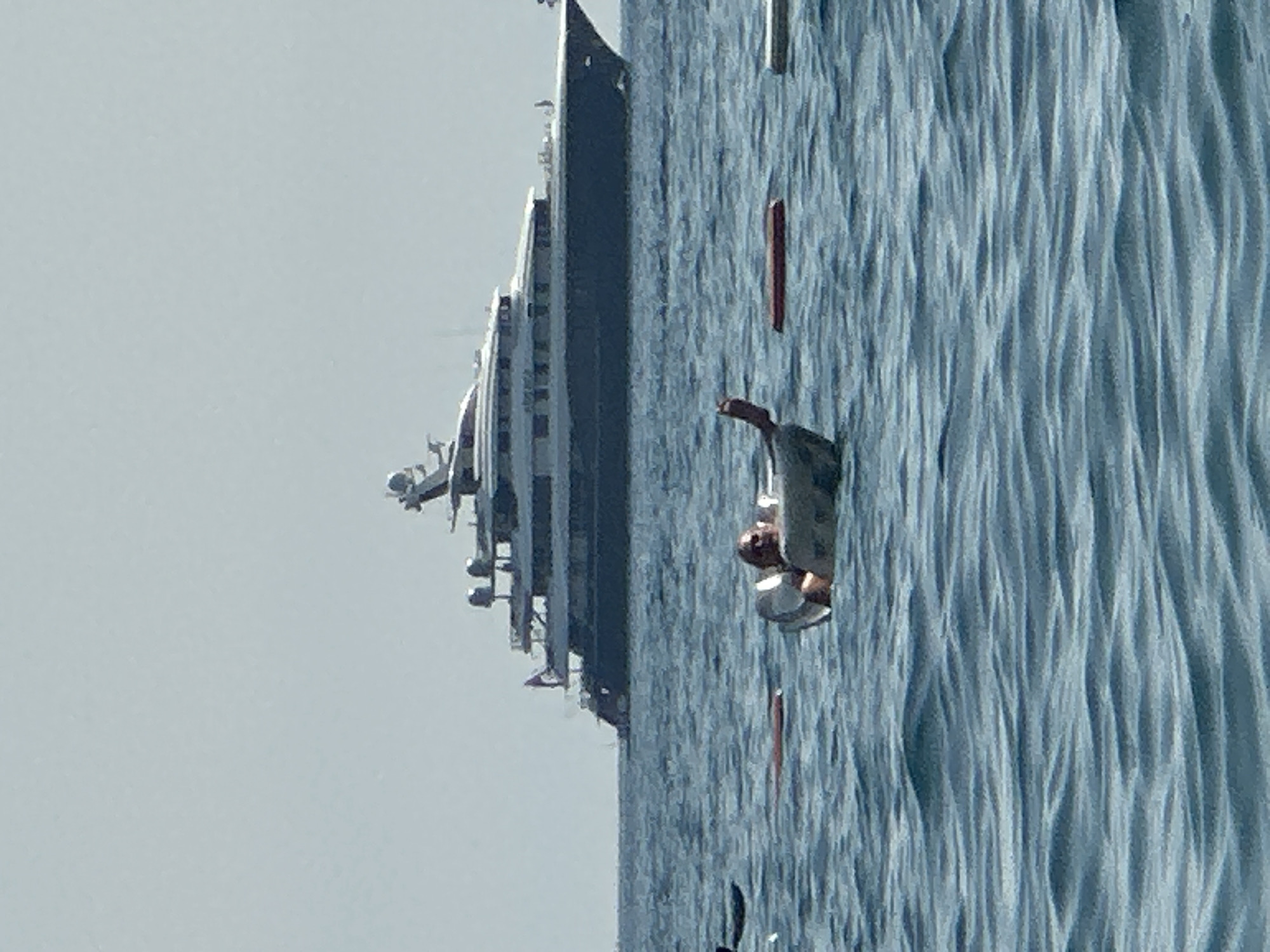 A large, multi-deck yacht is anchored offshore in the clear blue waters near Boreti, Montenegro. In the foreground, a person is relaxing in a semi-submerged inflatable floating device. The individual is wearing swimwear and appears to be sunbathing. Several other buoys or floating objects are scattered in the water around the person. The sky is a pale, hazy blue, suggesting a clear day. The overall scene depicts leisure and relaxation on the water.