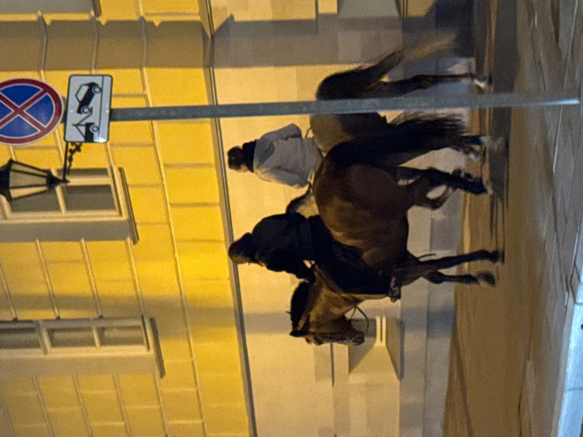 Here's a concise description of the image:
The image shows two riders on horseback traveling along a city street in Moscow, Russia. A traffic sign indicating "No Stopping" and "Towing Zone" is visible next to a building. The building is characterized by multiple windows, and the street lighting casts a warm glow on the scene. Two people are riding the horses. One person is wearing white and the other is wearing black.