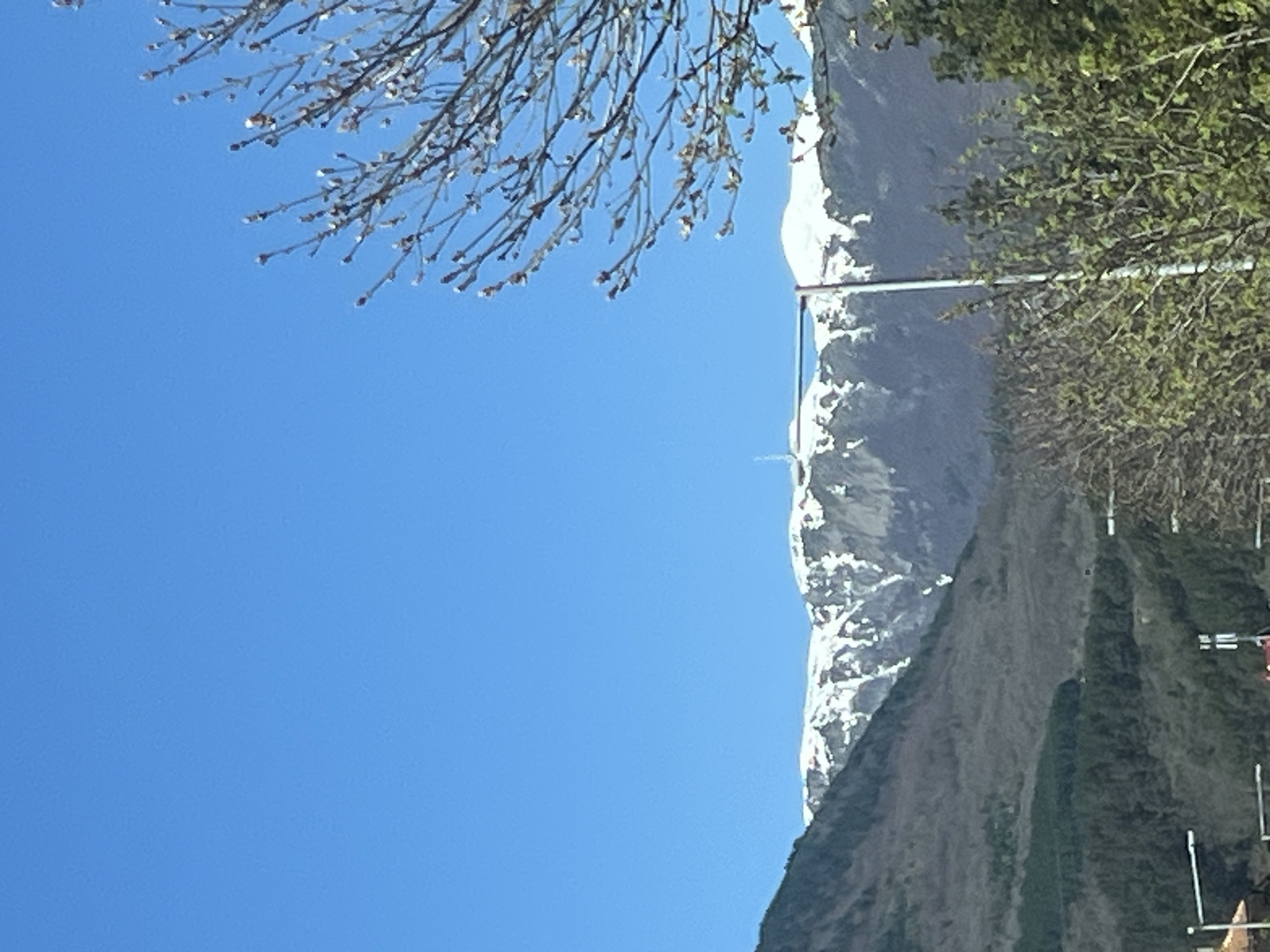 The image shows a mountain range partially covered with snow, framed by tree branches in the foreground. The sky is a clear blue. The location is potentially near Goce Delchev, Bulgaria, but there are no definitively locational features to confirm this. Specific subjects, objects, actions or interactions cannot be precisely determined.