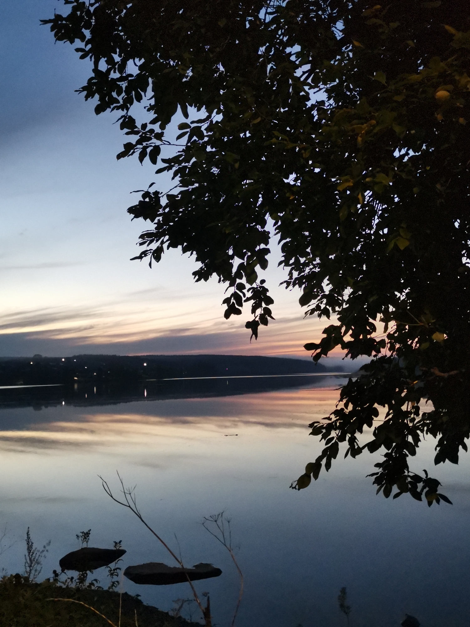 A silhouetted tree branch with dark green leaves extends from the top right of the frame, partially obscuring a serene lake and a distant, dimly lit shoreline under a dusky sky. The sky displays a gradient of soft blues and pale pinks from the setting sun, with wispy clouds stretching horizontally. The lake's surface acts as a mirror, reflecting the muted colors of the sky and the faint lights of buildings or settlements along the treeline on the opposite bank. In the foreground, near the bottom left, two dark, flat rocks are partially submerged in the shallow water near the grassy bank, with sparse, dry vegetation growing around them. The overall scene evokes a peaceful, twilight atmosphere on the outskirts of Alexandrovsk, Russia, where the natural beauty of the lake and sky meets the subtle human presence of the distant settlement.