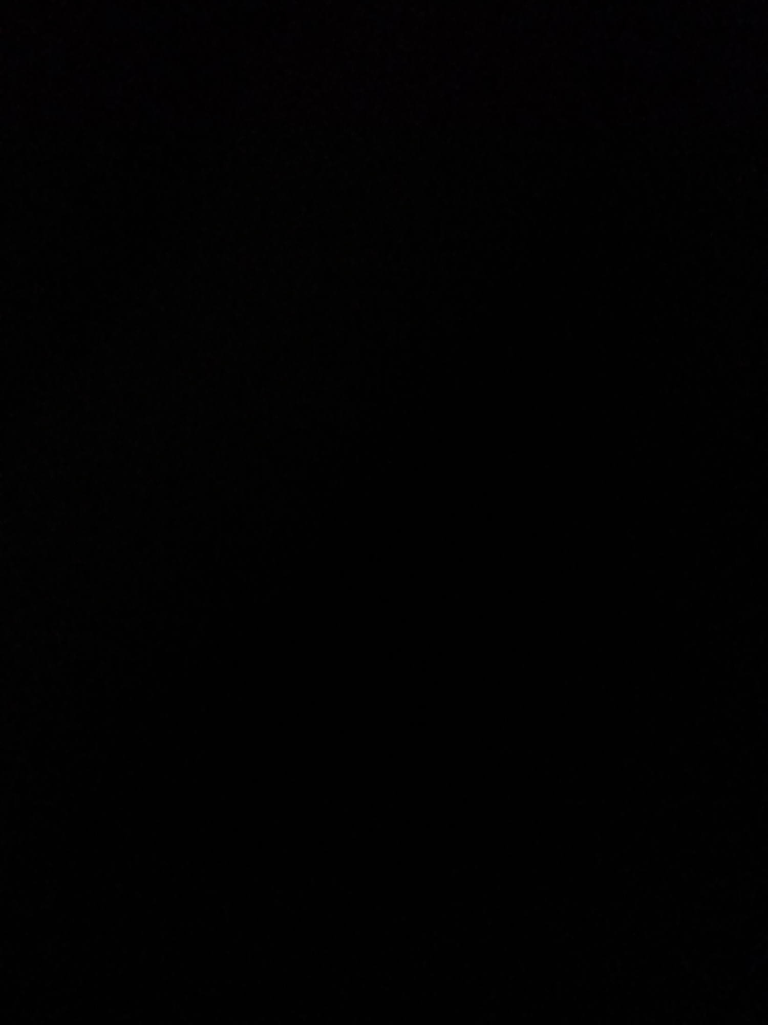 The media file is a black image. No subjects, activities, notable details, or text are visible.