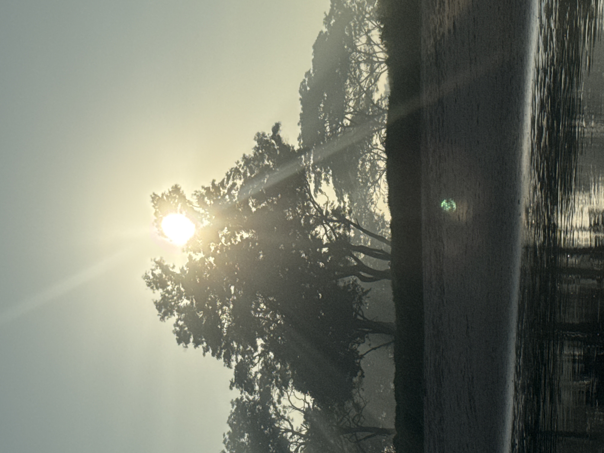 The image shows a sun shining through trees near a body of water. The location is potentially in Kuta Selatan, Indonesia. The sun is bright, with light flares. The trees are silhouetted against the sky. The water is dark and reflects light.