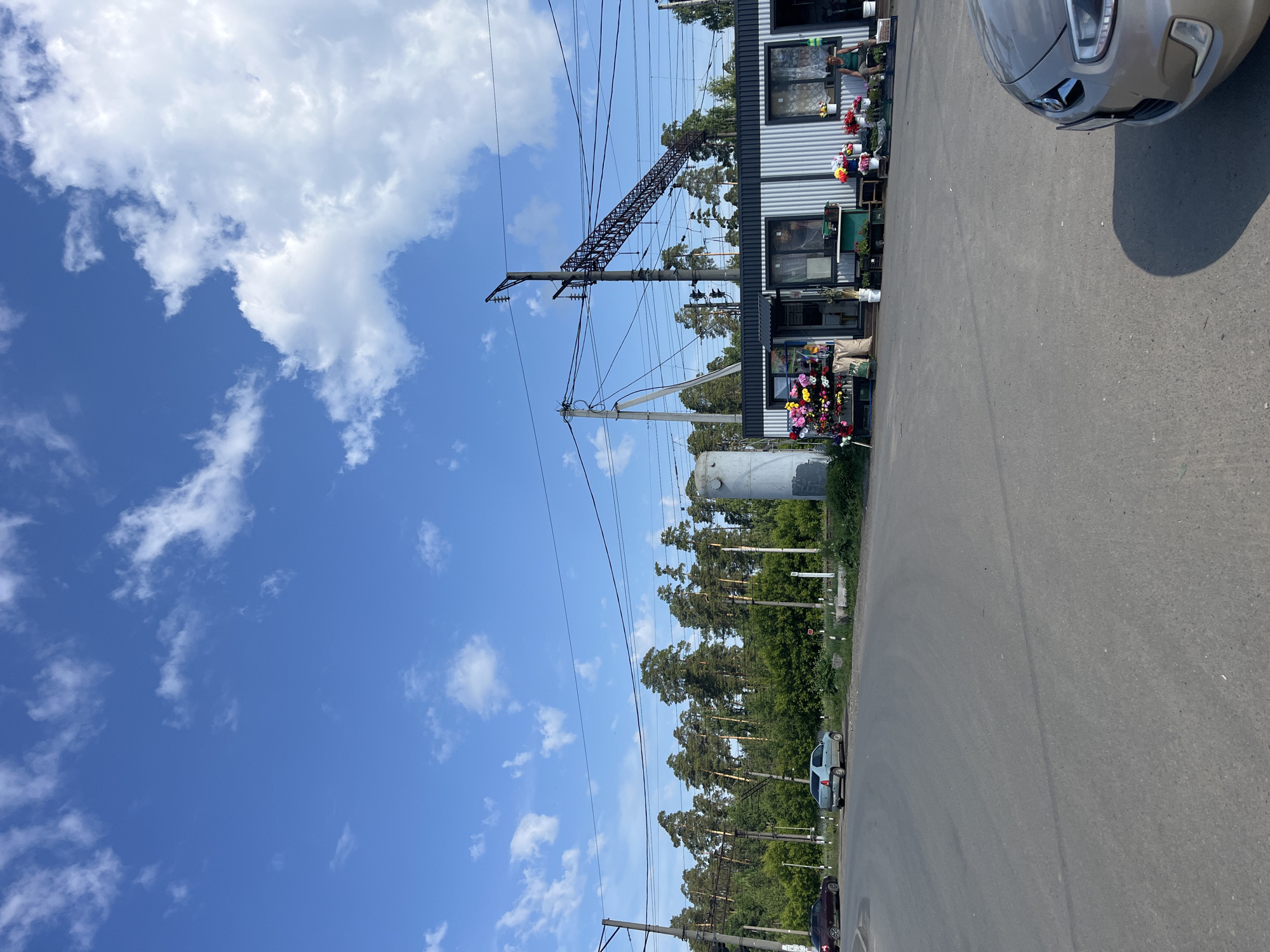 In Vasilyevo, Russia, a roadside flower stand operates adjacent to a corrugated metal building under a blue sky with scattered clouds. The stand displays an array of colorful artificial flowers, with a woman sitting on a bench in front of the building. Power lines crisscross the scene, supported by tall poles. Trees line the background, and cars are parked on the asphalt road. A large cylindrical structure is visible to the left of the flower stand, and a car is parked in the foreground, casting a shadow.