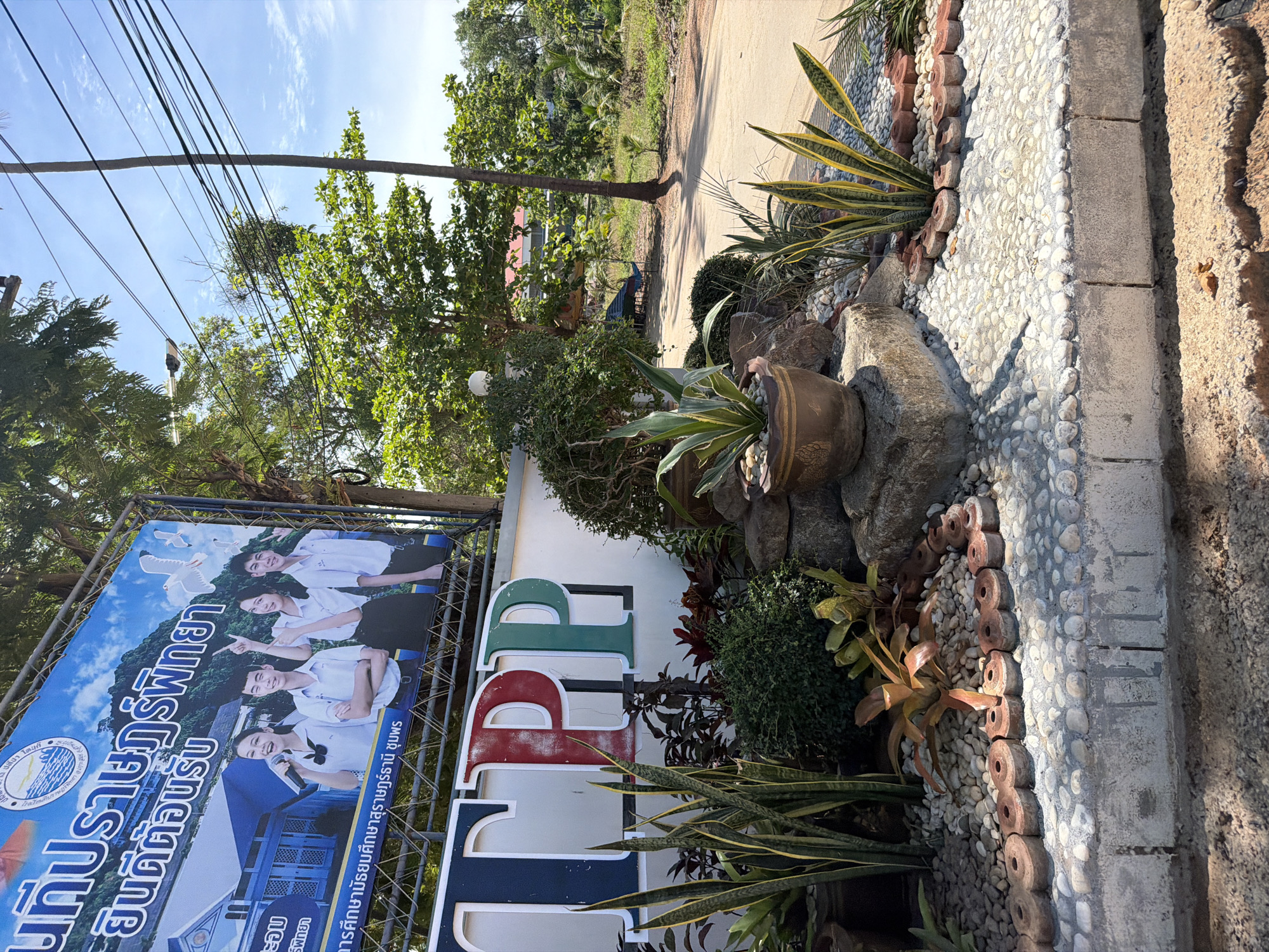 The image shows a street view in Baan Bo Phut, Thailand, with a large billboard and signage prominently displayed. The billboard, situated above a white wall, features an advertisement with images of four young people, two males and two females, dressed in school uniforms. They are smiling and appear to be presenting. Text in Thai is visible on the billboard. Below the billboard, large, colorful letters spelling "TPP" are mounted on the white wall; the letters are blue, red, and green. In front of the wall, a landscaped area with various potted plants and decorative stones is visible. The surroundings include trees, utility poles with numerous wires, a road, and buildings in the background, suggesting an outdoor, potentially commercial or institutional, setting in a tropical environment. The sky is blue with scattered clouds.