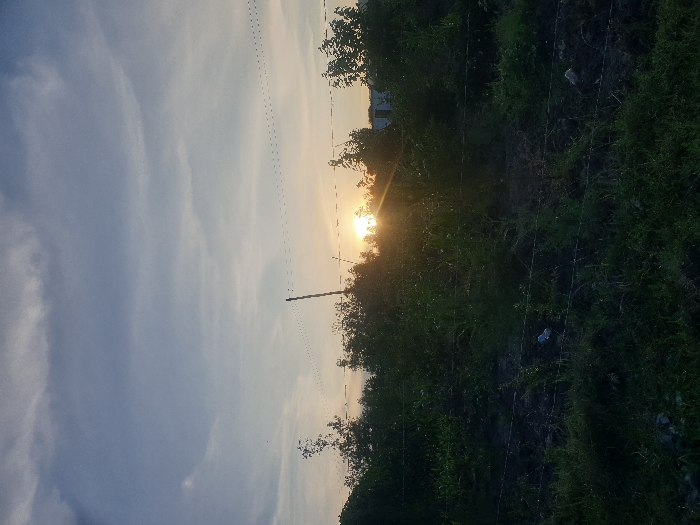 The scene depicts an outdoor landscape at sunset or sunrise in Mua ward, Kenya. A bright, circular sun, emitting a strong orange-yellow glare, is positioned in the center-right midground, partially obscured by dense green foliage. The sky above is light blue with scattered, thin white clouds. A slender, dark utility pole extends vertically from the midground towards the sky on the left, supporting multiple thin overhead wires that traverse the upper portion of the image. The immediate foreground consists of dark, disturbed earth intermixed with green grass and weeds. A three-strand barbed wire fence runs horizontally across the lower third of the frame. Behind the fence, a field of green vegetation, including what appears to be young crops and taller grasses, occupies the midground. A denser line of trees and bushes forms the background, with the faint outline of a light-colored structure visible through the foliage on the far right. A small, crumpled white plastic object is present on the ground in the lower-left quadrant, near the barbed wire. No individuals or animals are visible within the frame.
