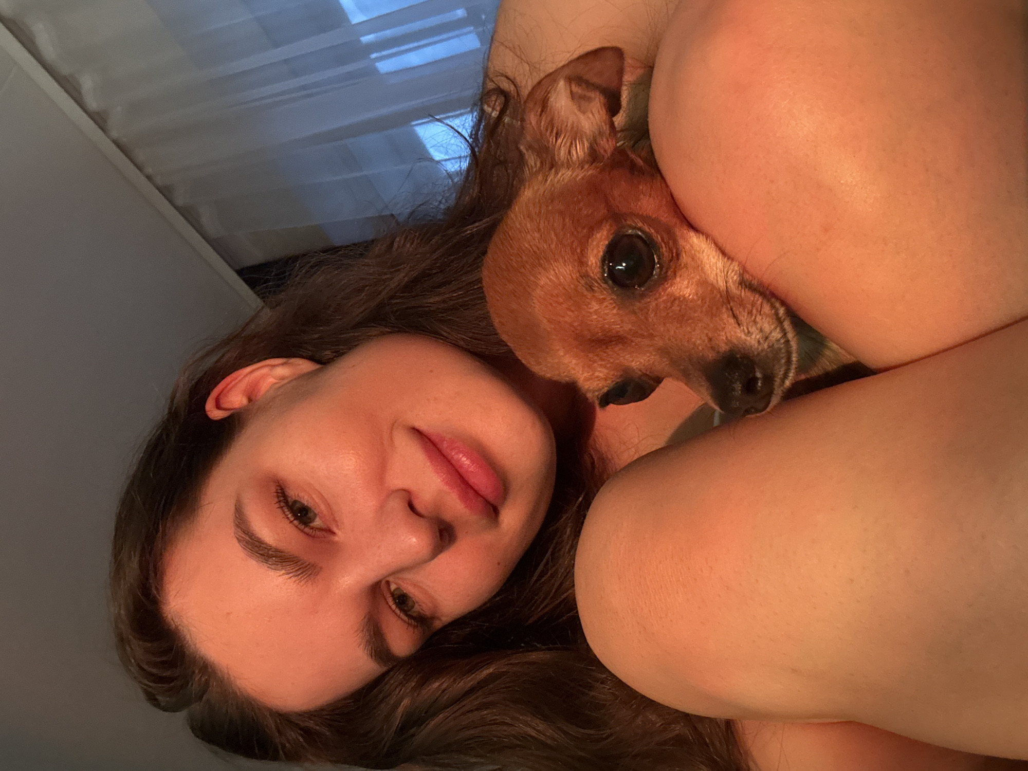 A young woman with long, dark hair is holding a small, tan chihuahua in her lap. The woman is looking at the camera with a slight smile, her head tilted to the side. The dog is nestled into her leg, with its head resting on her arm. The lighting in the image is warm and soft, suggesting it was taken indoors, possibly at sunset. The background is blurred, but appears to be a room with sheer curtains. There is no identifiable information to determine the location in Chaikovsky, Russia.